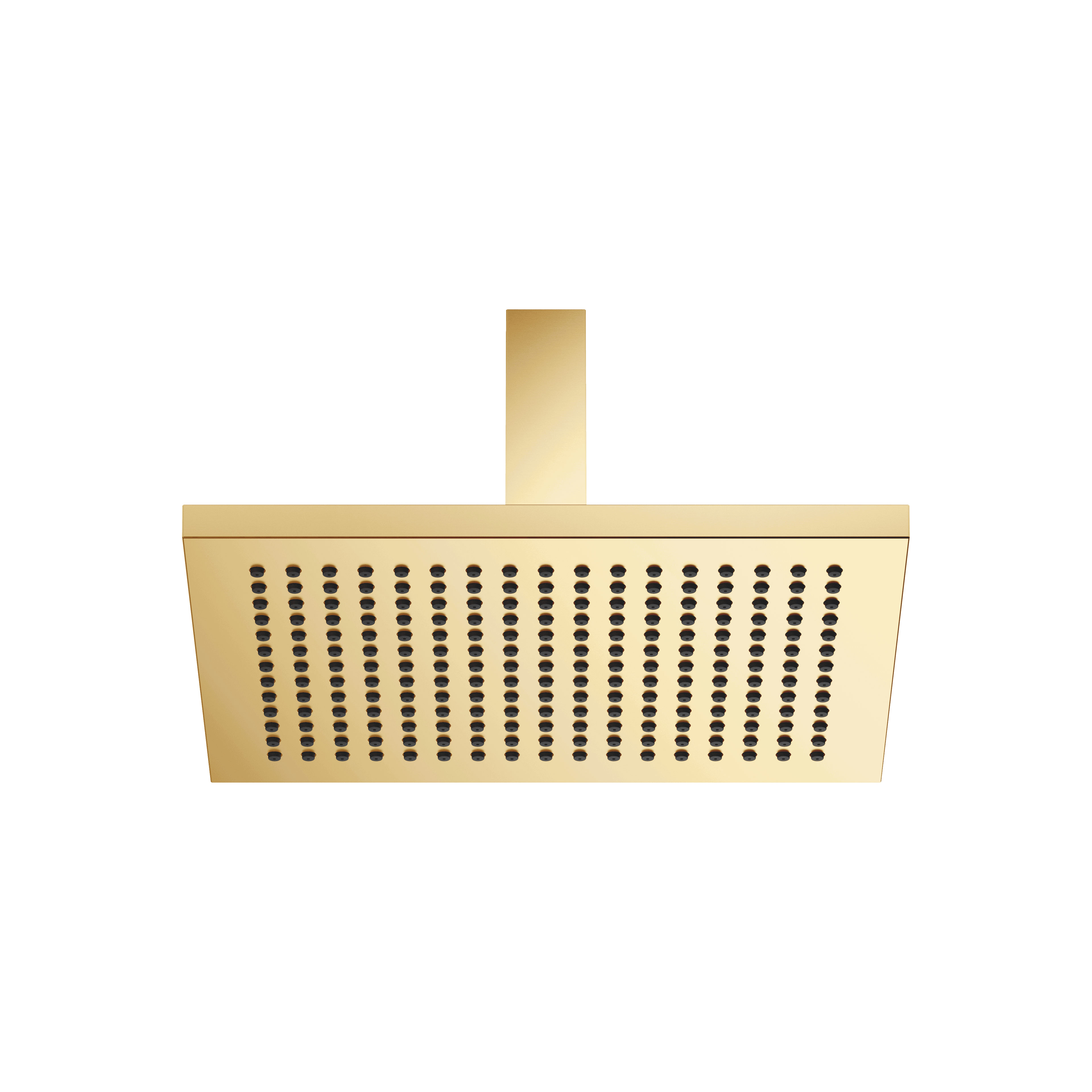 Rain shower with ceiling fixing 300 x 240 mm in Brushed Durabrass (23kt Gold)