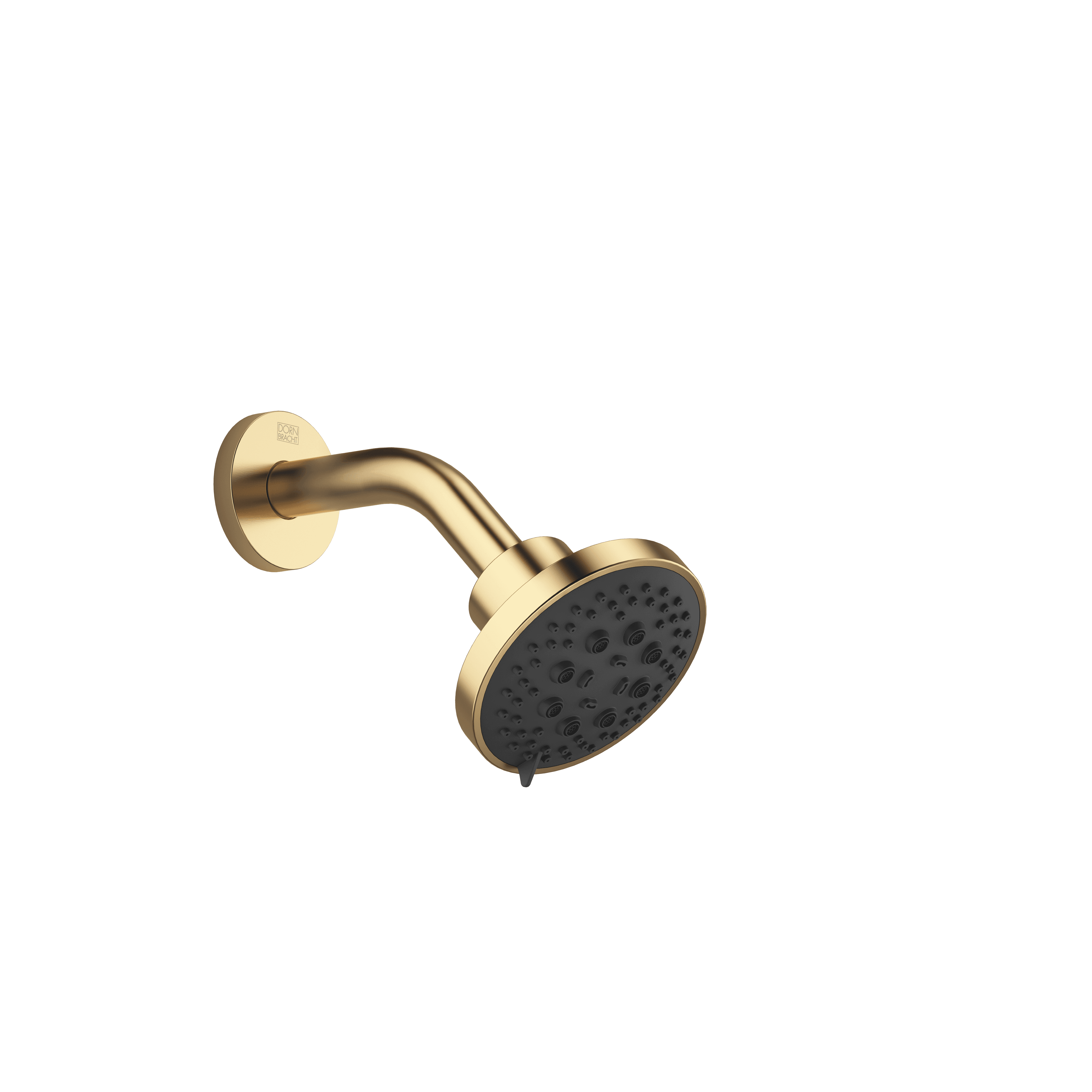 Shower head in Brushed Gold (PVD)