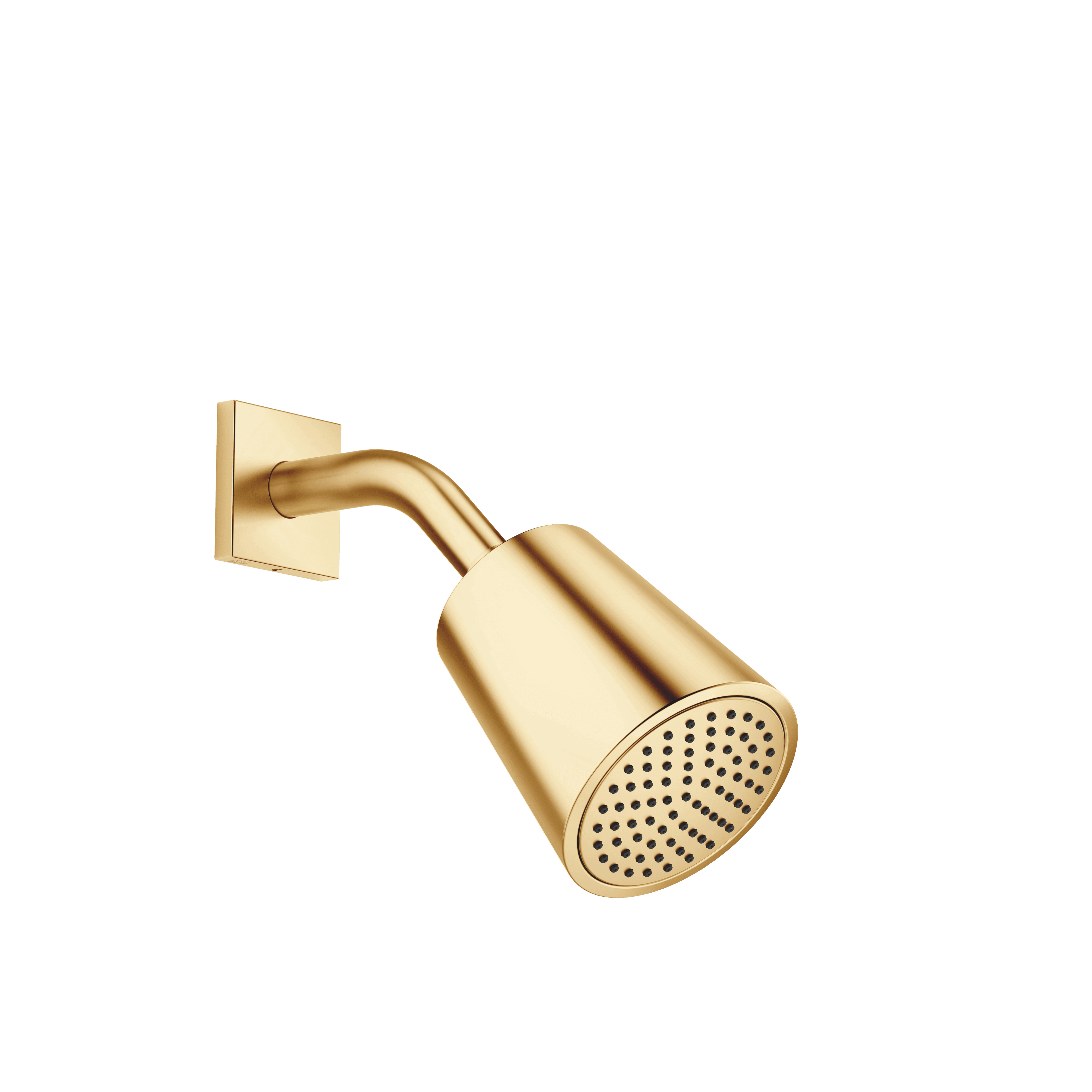 Shower head in Brushed Gold (PVD)