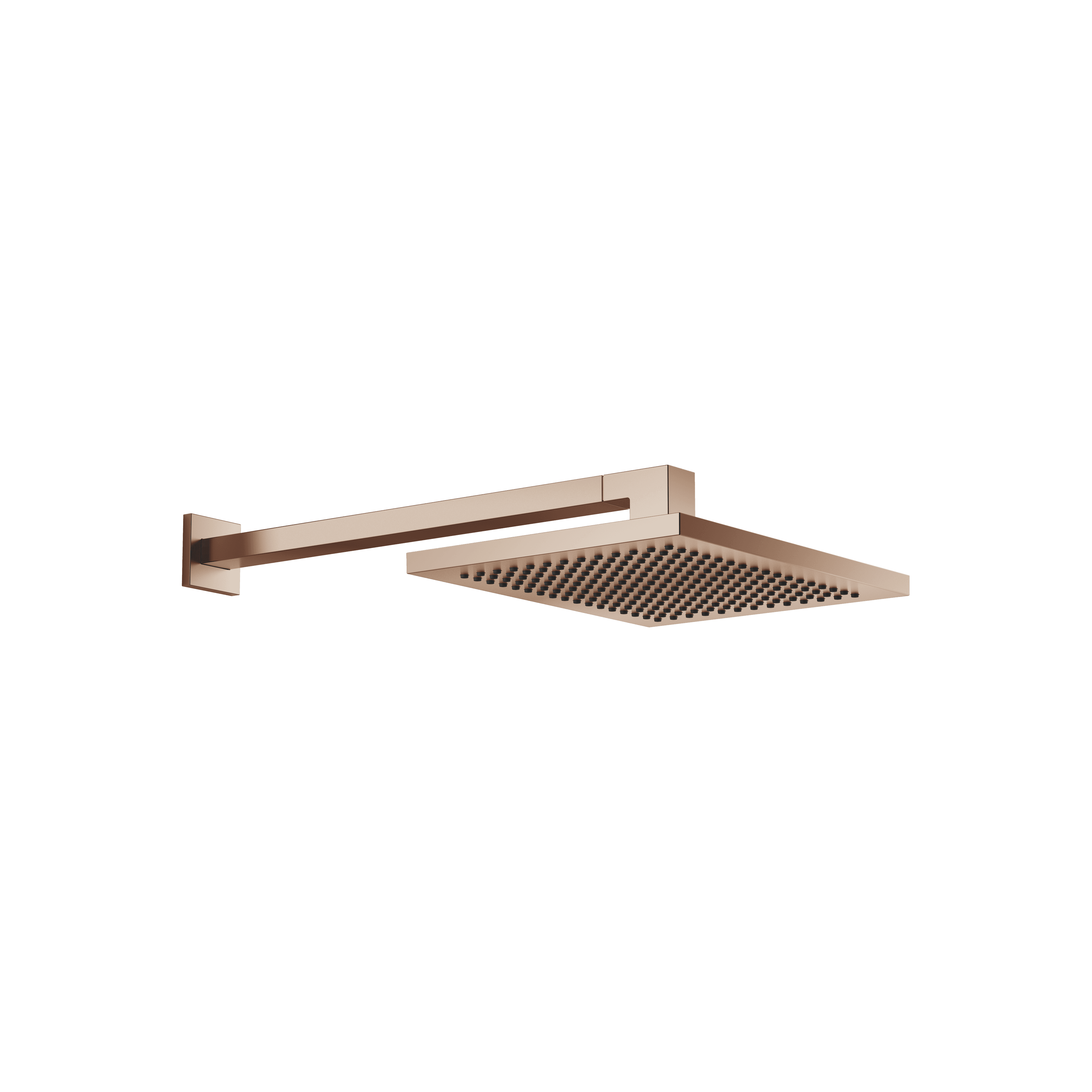 Rain shower with wall fixing 300 x 240 mm in Brushed Bronze (PVD)