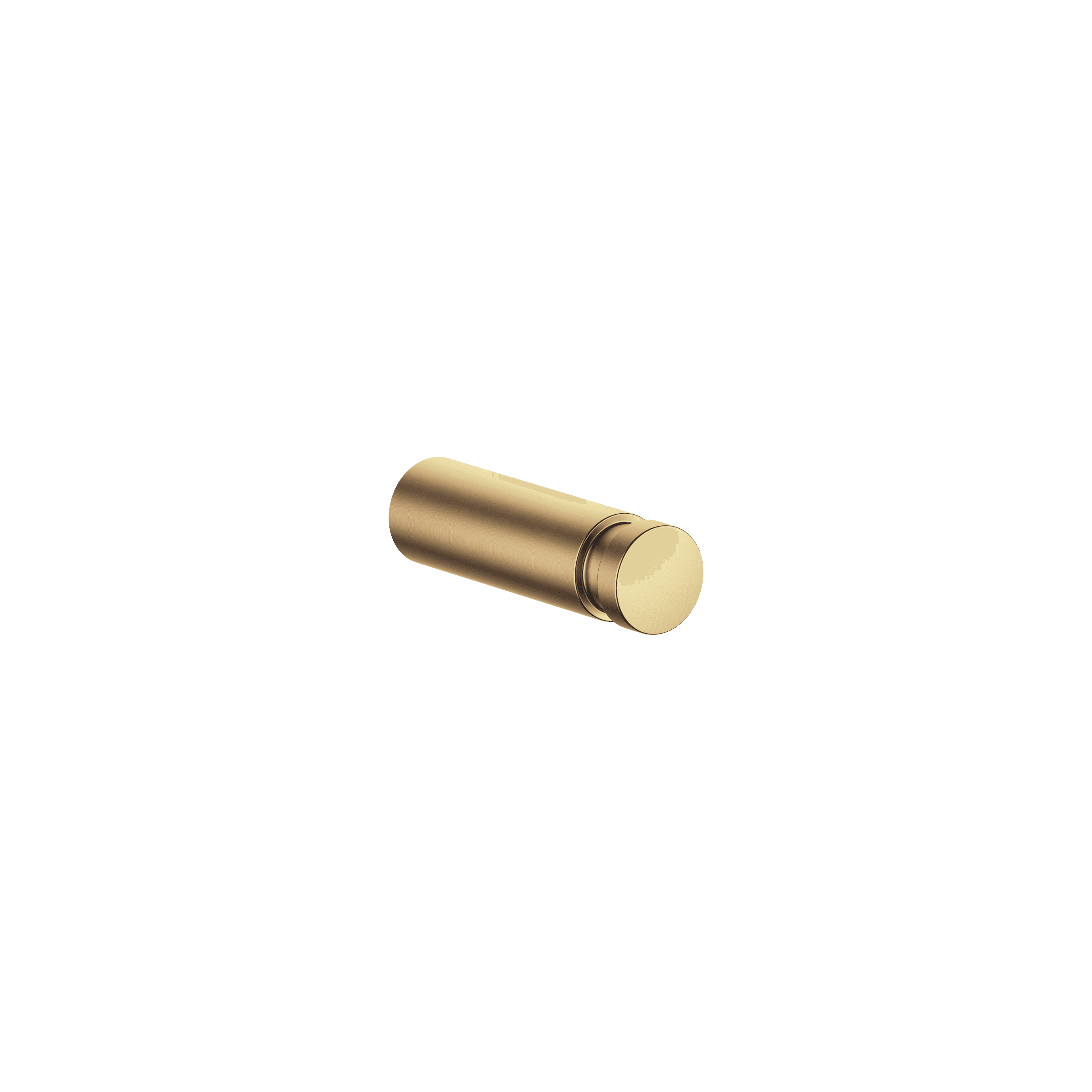 Hooks in Brushed Gold (PVD)