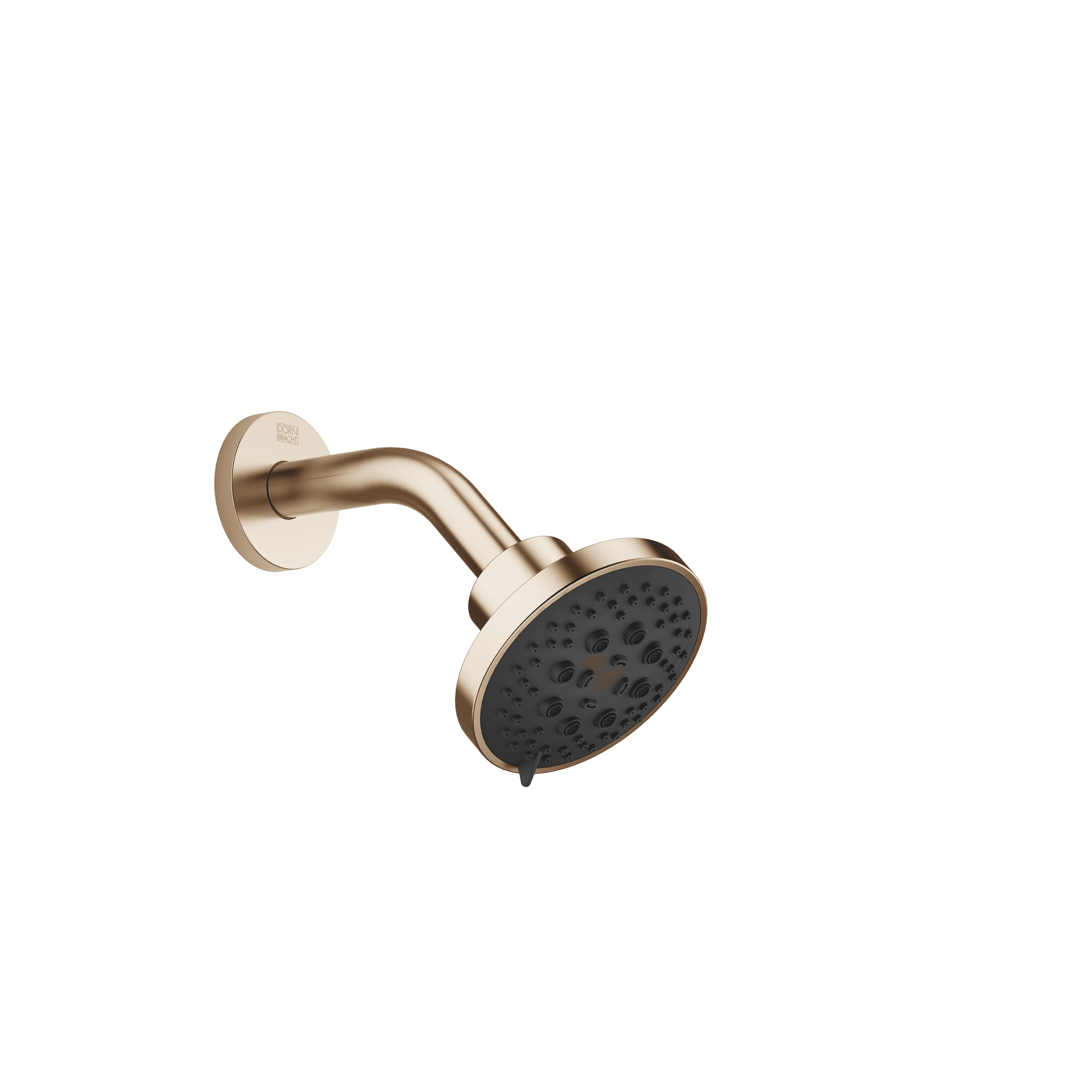 Shower head in Brushed Light Gold (PVD)