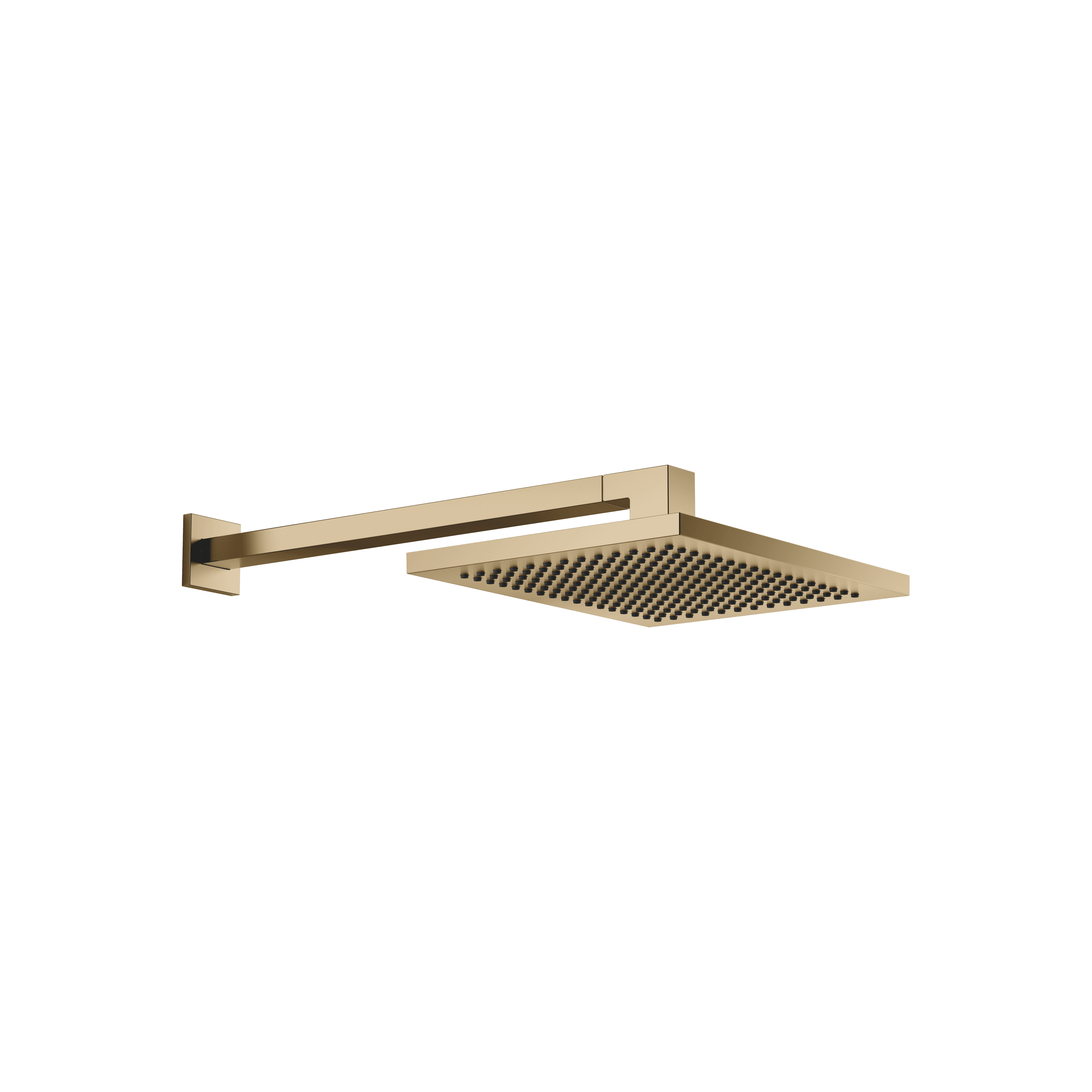 Rain shower with wall fixing FlowReduce 300 x 240 mm in Brushed Dark Brass (PVD)