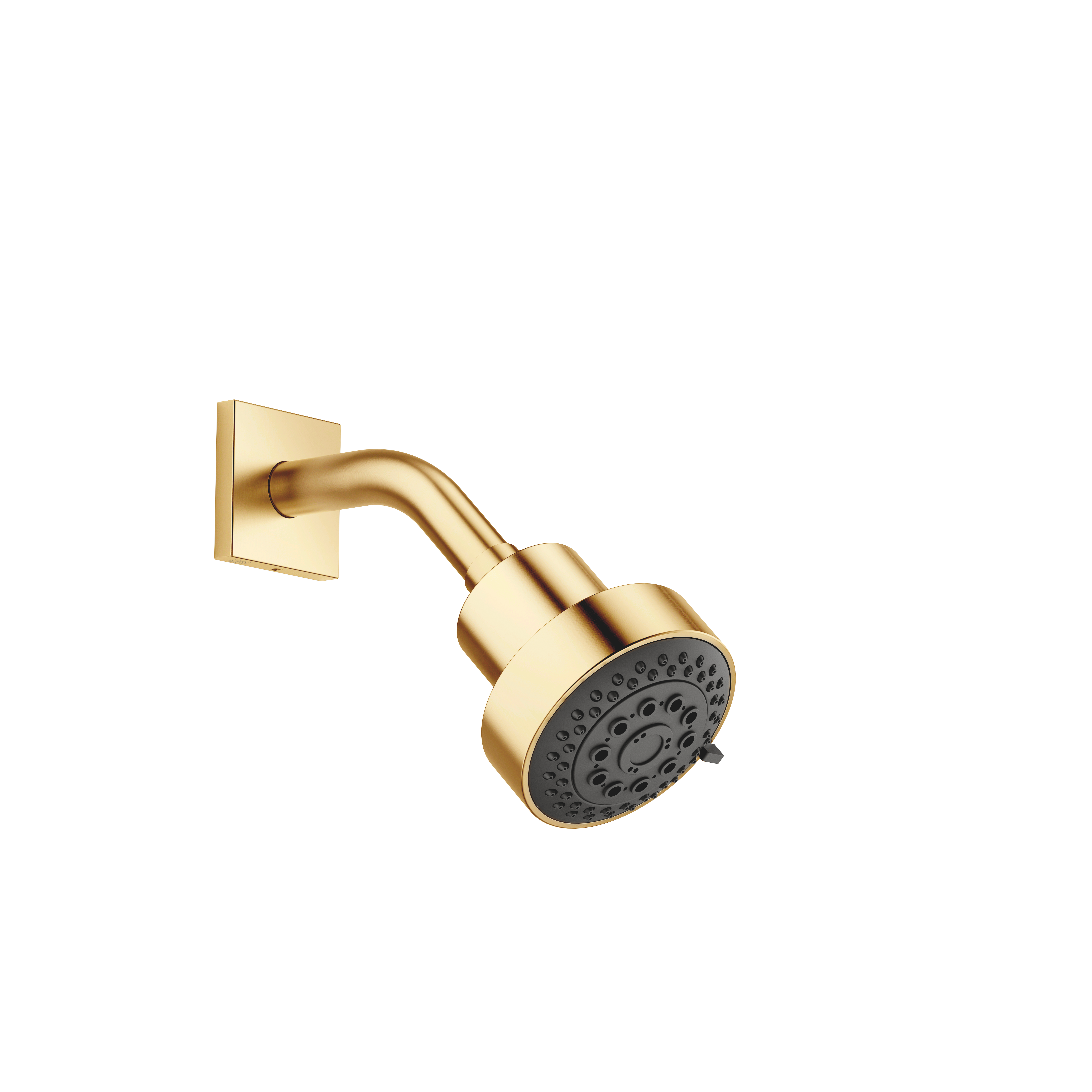 Shower head FlowReduce in Brushed Gold (PVD)