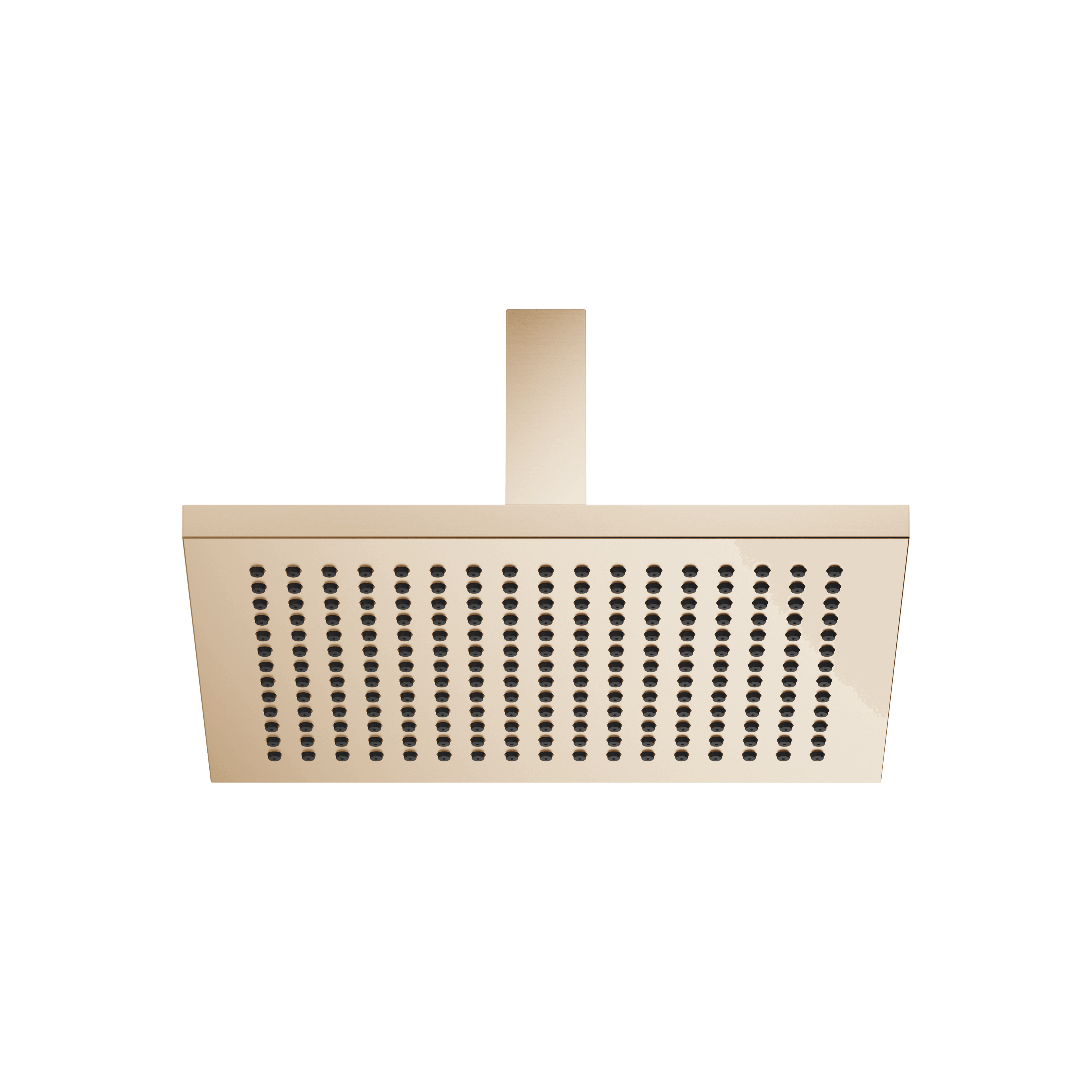 Rain shower with ceiling fixing 300 x 240 mm in Brushed Light Gold (PVD)