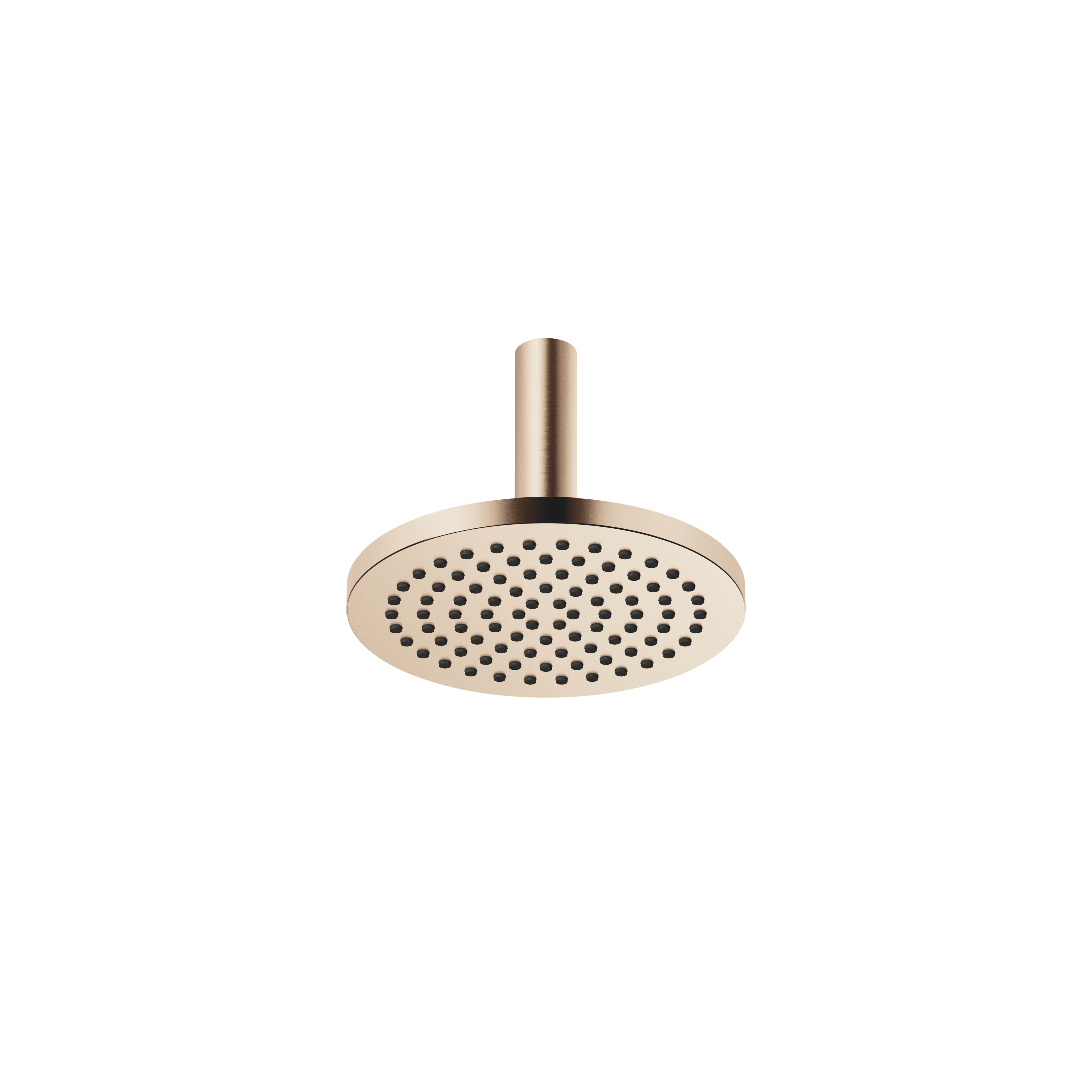 Rain shower with ceiling fixing 220 mm in Brushed Champagne (22kt Gold)