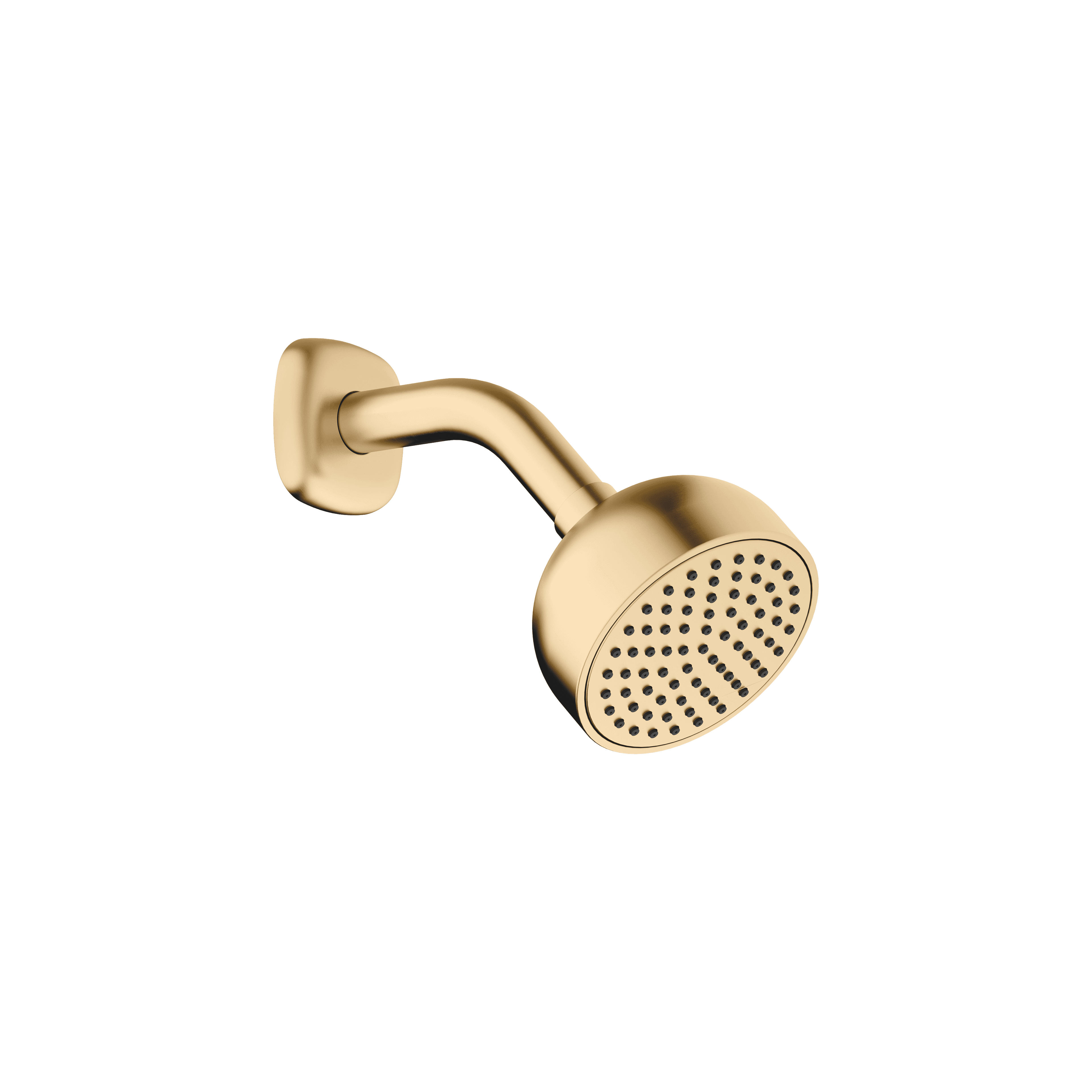 COYA Shower head in Brushed Durabrass (23kt Gold)