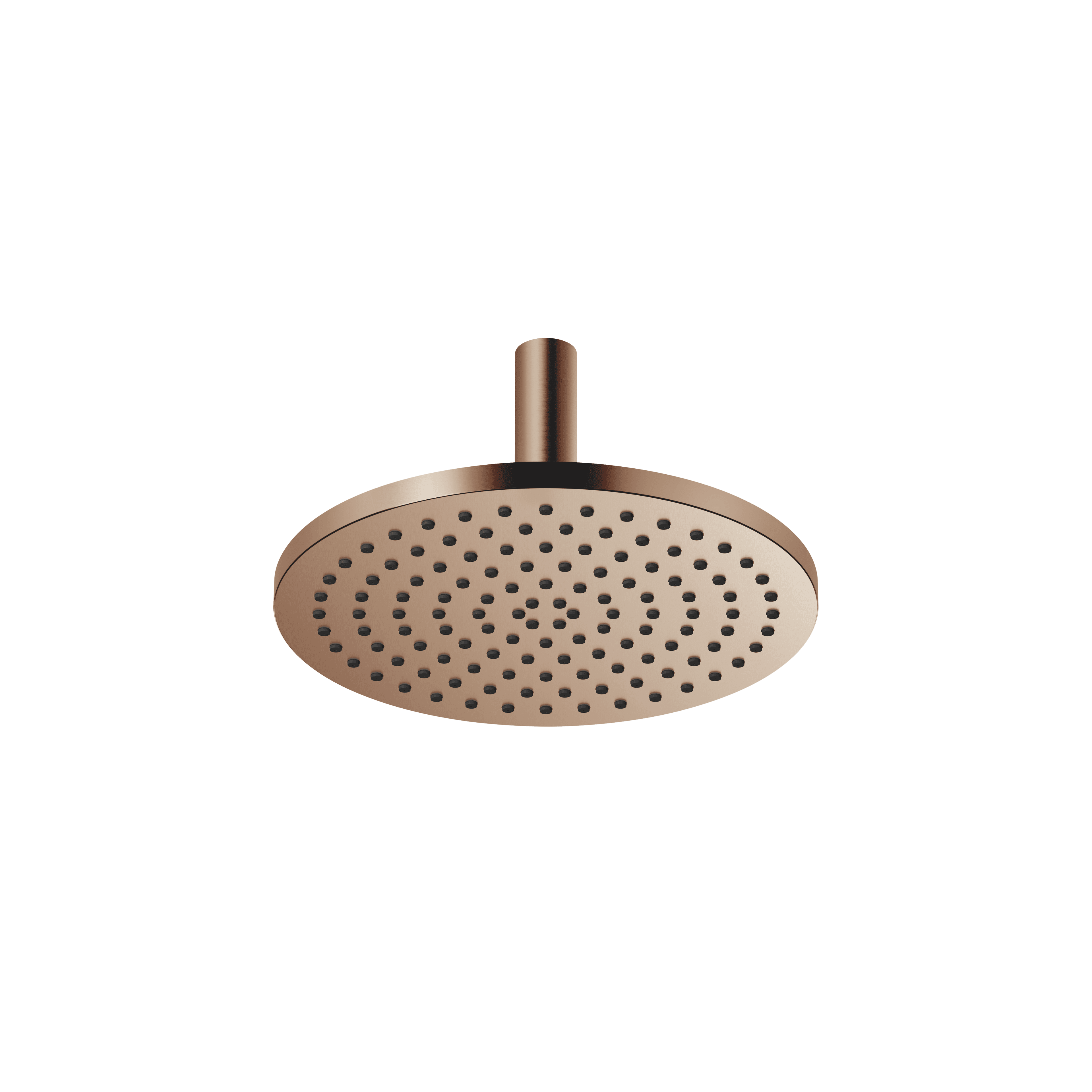 SERIES SPECIFIC Rain shower with ceiling fixing 300 mm in Brushed Bronze (PVD)