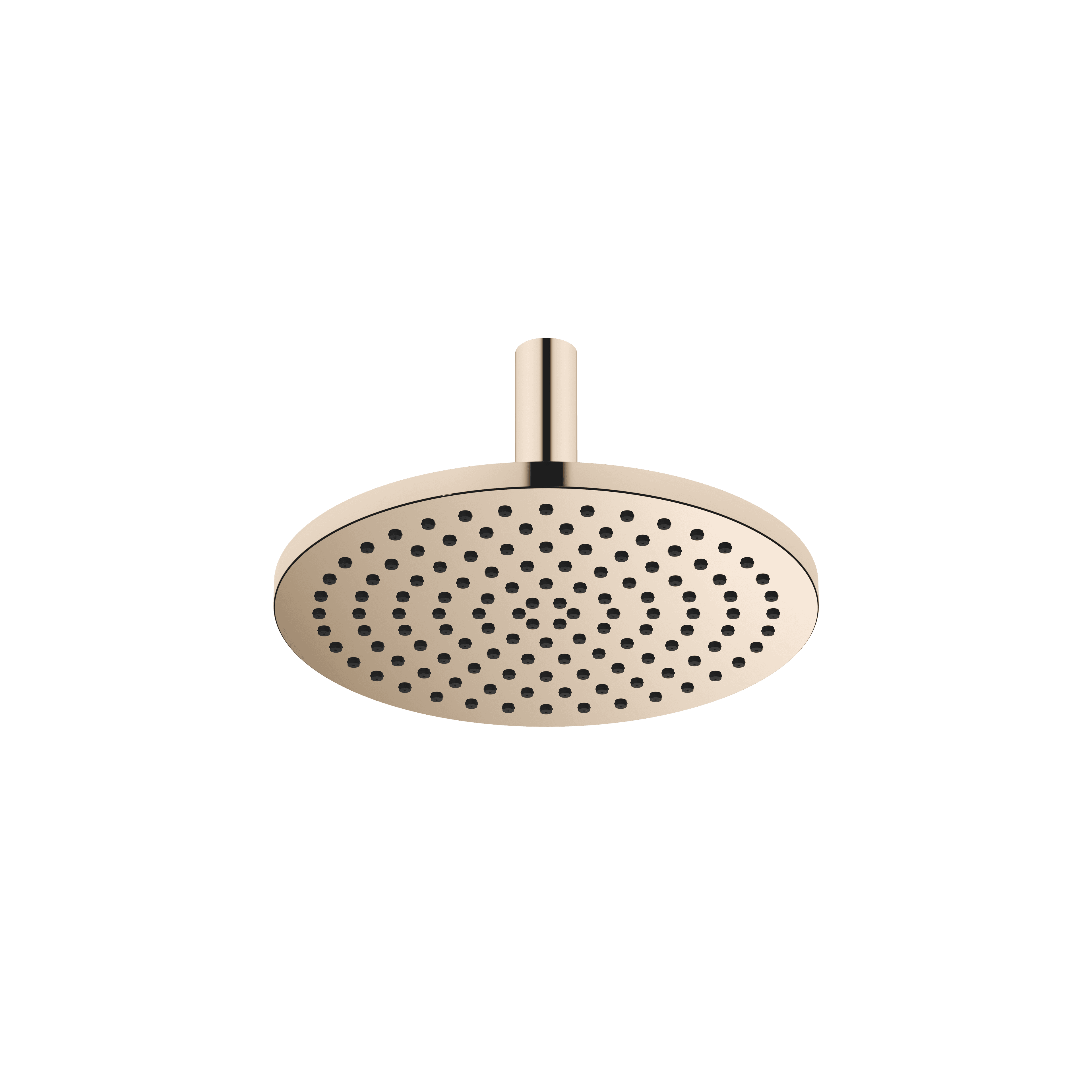 Rain shower with ceiling fixing 300 mm in Light Gold (PVD)