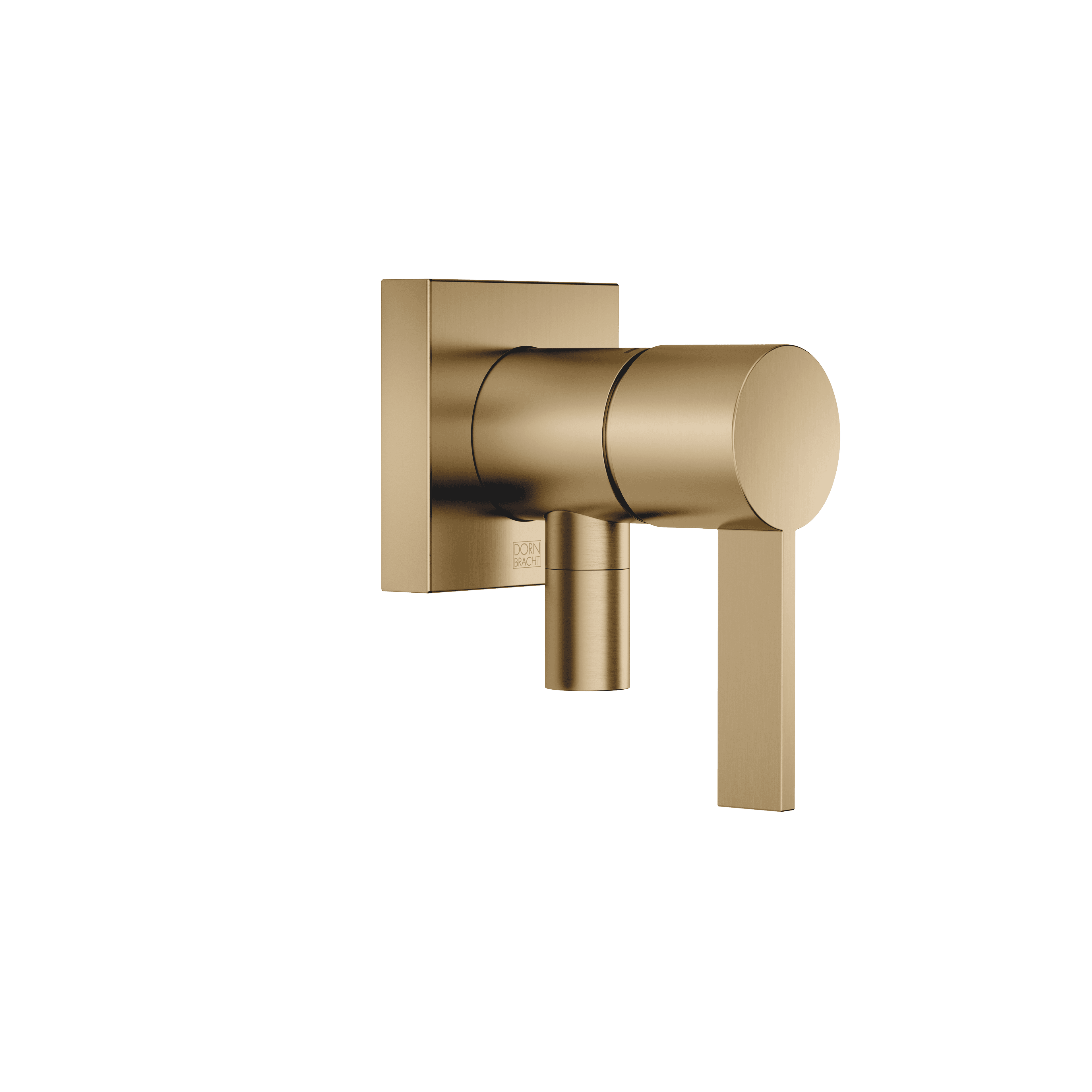 Concealed single-lever mixer with cover plate with integrated shower connection in Brushed Dark Brass (PVD)