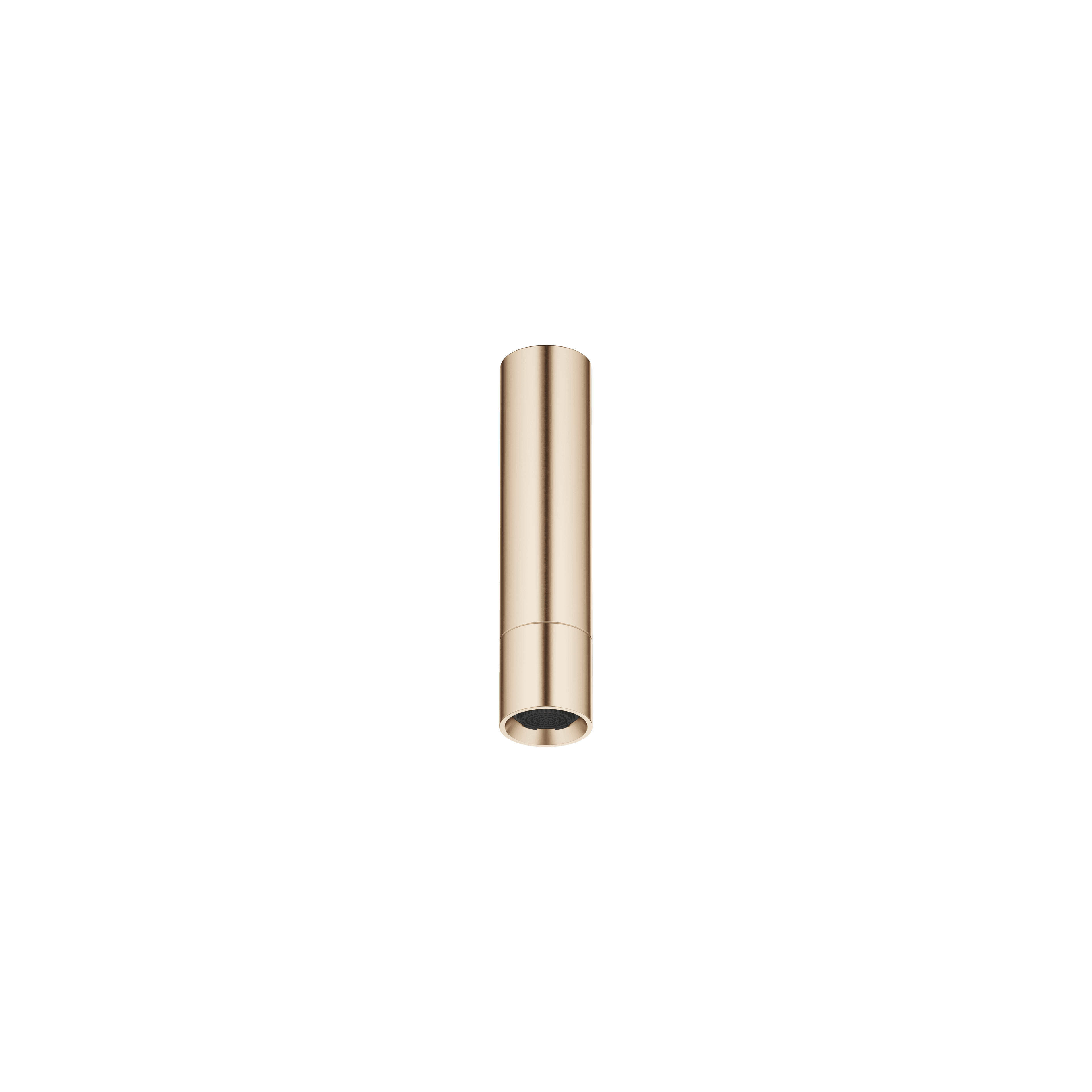 Shower head with ceiling fixing in Brushed Light Gold (PVD)