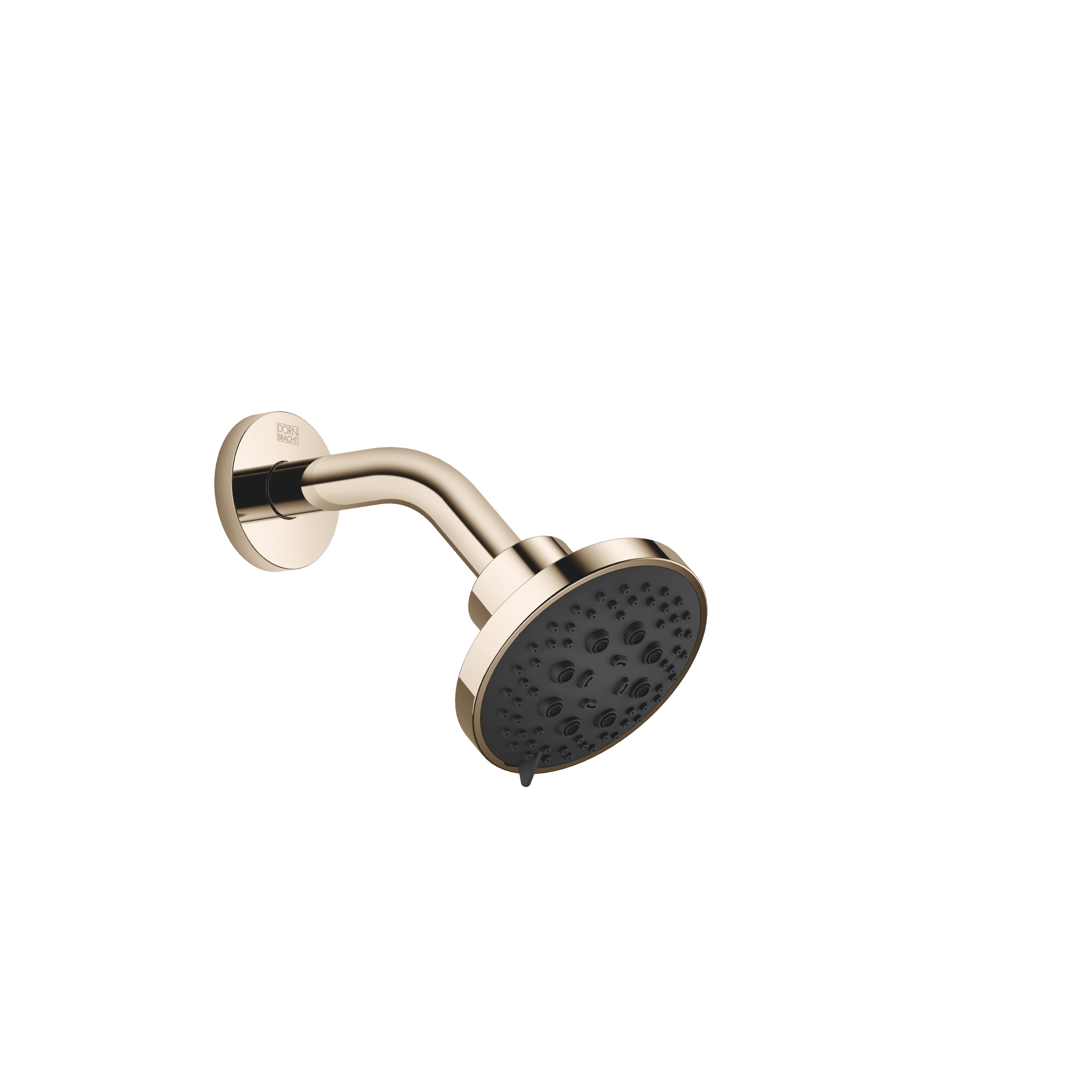Shower head in Light Gold (PVD)