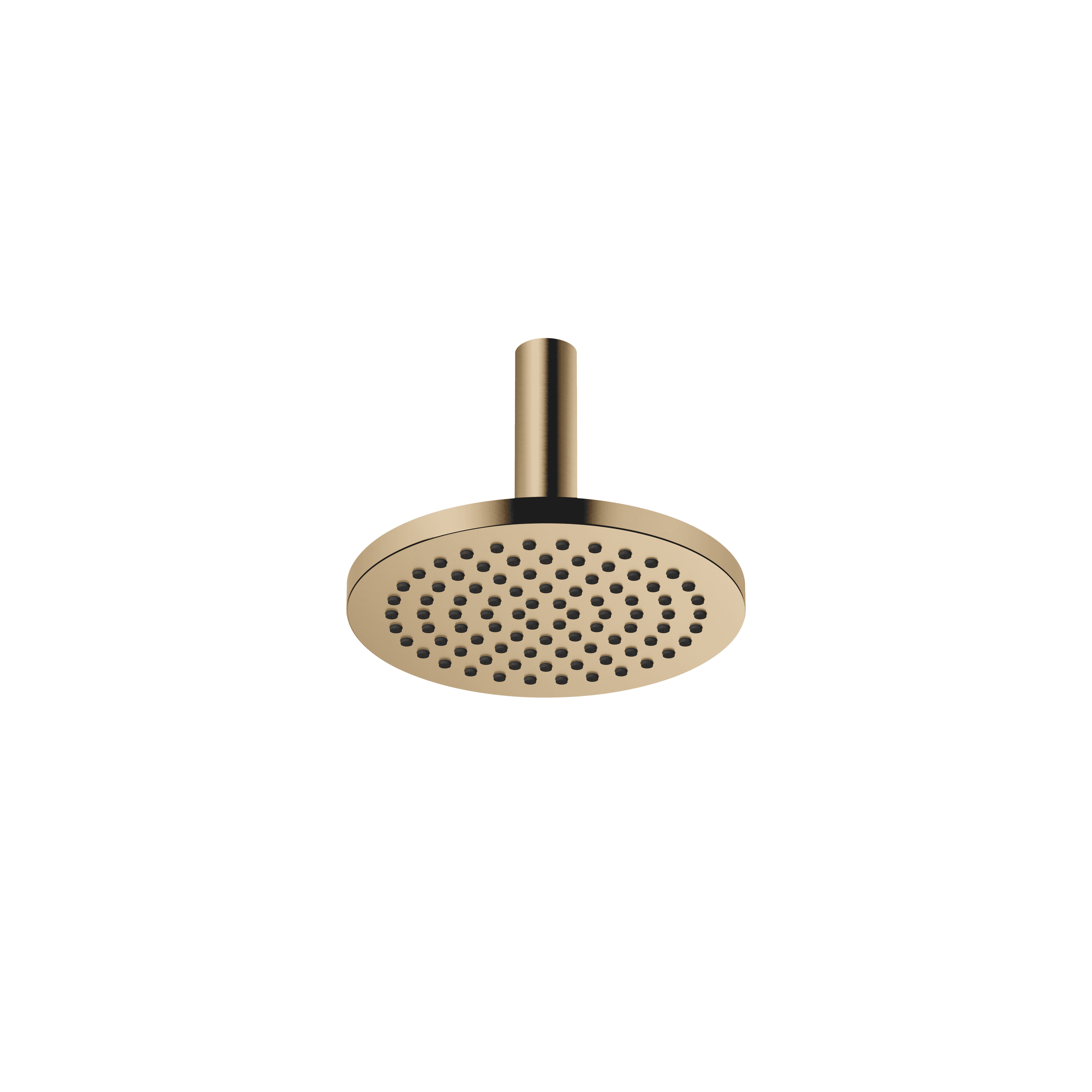 Rain shower with ceiling fixing 220 mm in Brushed Dark Brass (PVD)