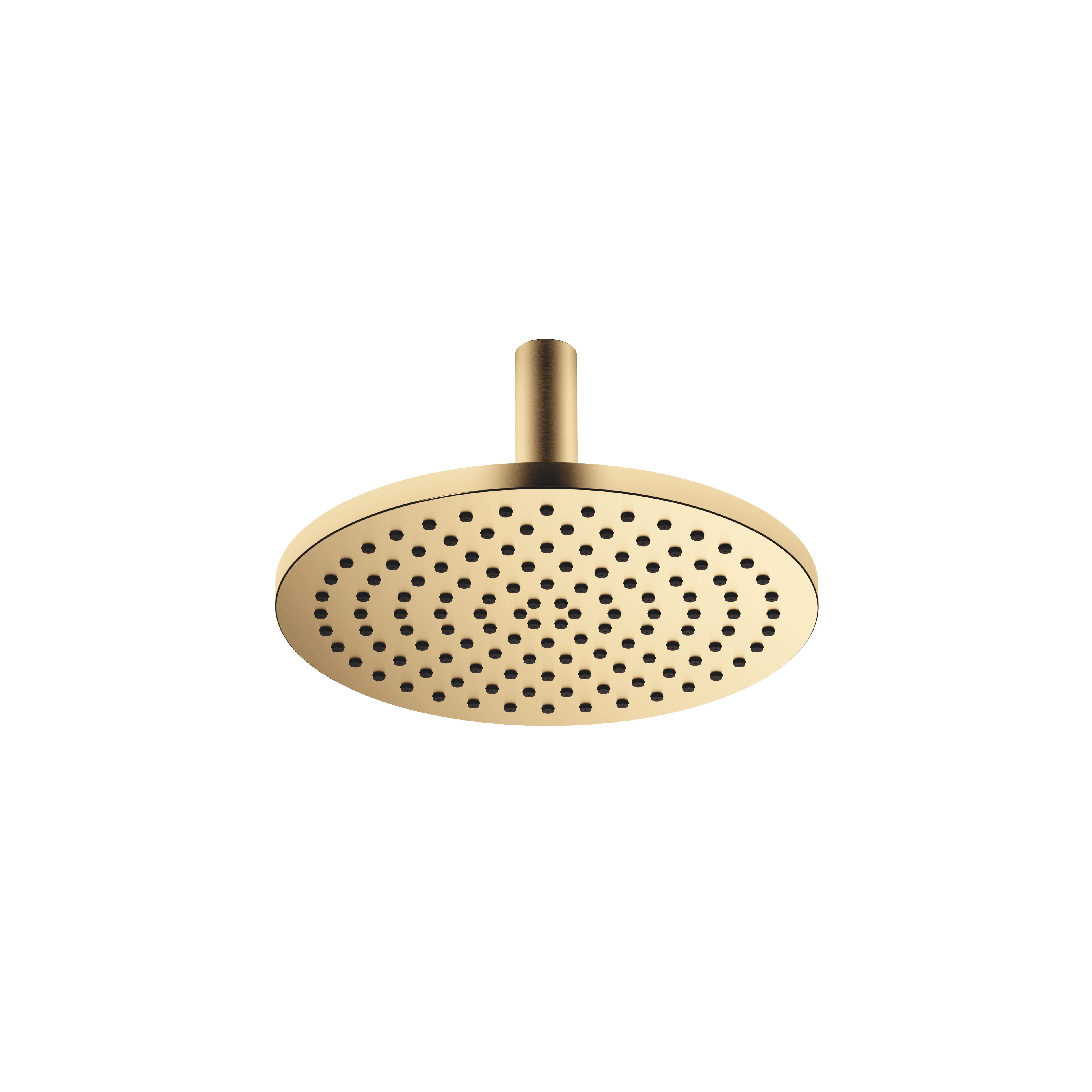 SERIES SPECIFIC Rain shower with ceiling fixing 300 mm in Brushed Gold (PVD)