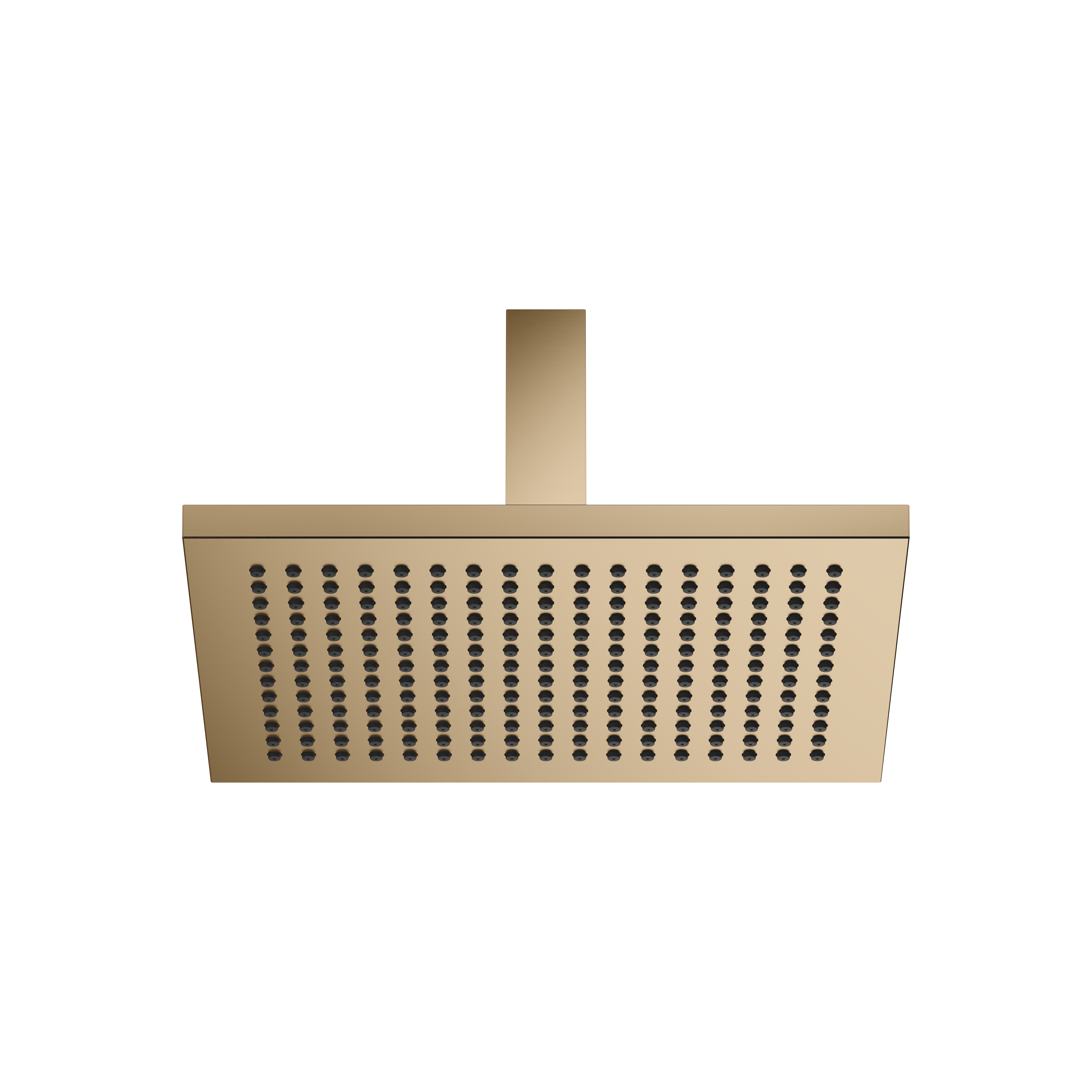 Rain shower with ceiling fixing 300 x 240 mm in Brushed Dark Brass (PVD)