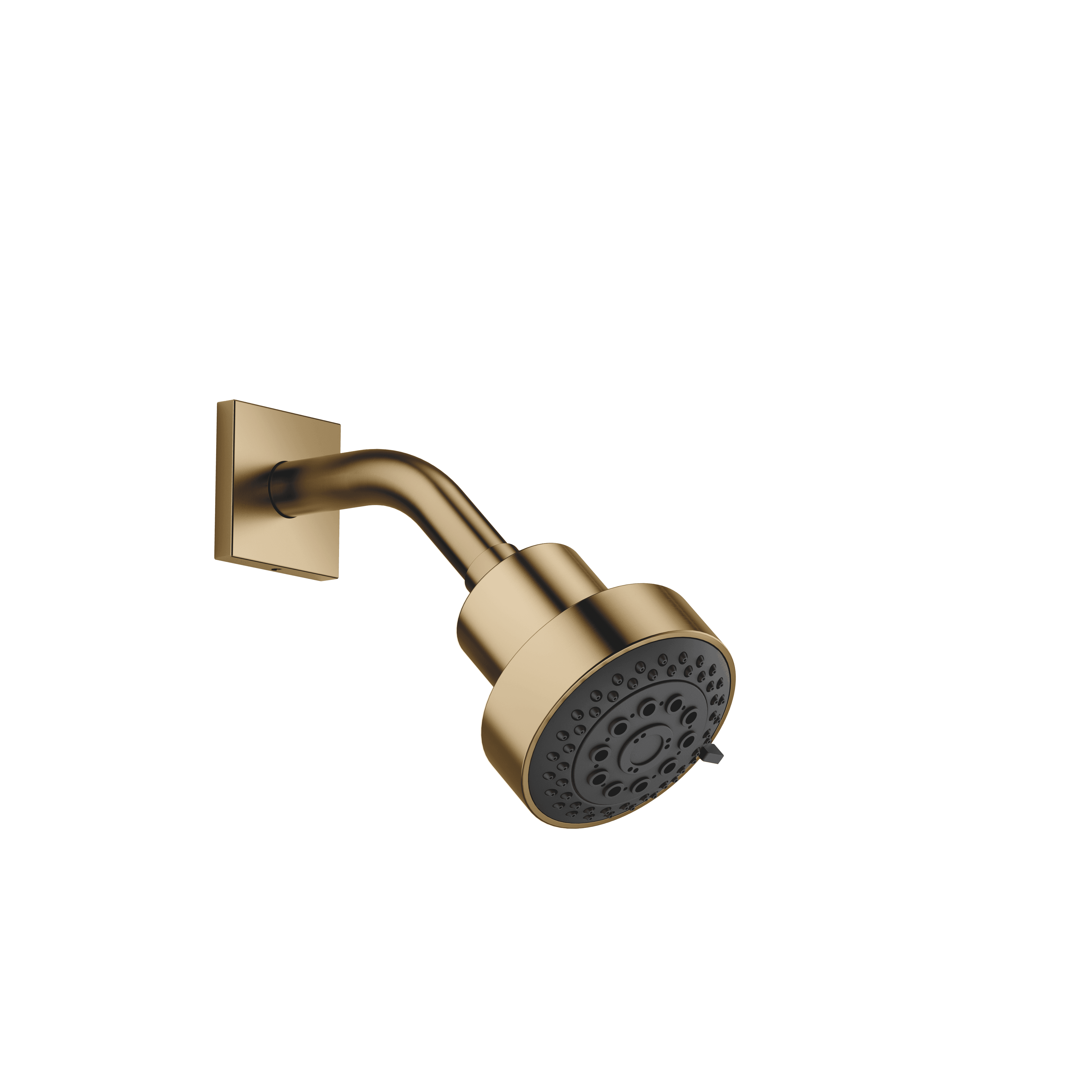 Shower head FlowReduce in Brushed Dark Brass (PVD)