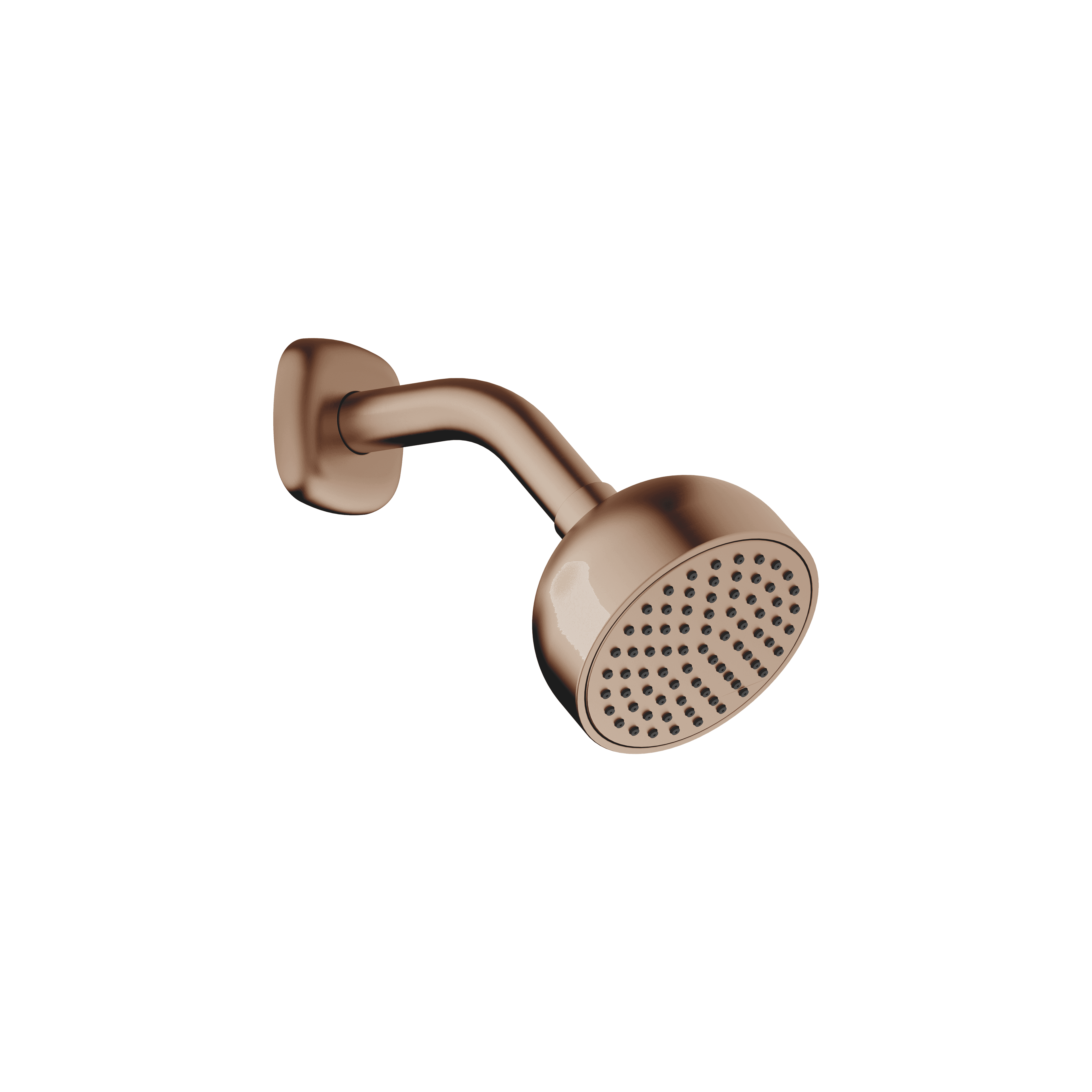 COYA Shower head in Brushed Bronze (PVD)
