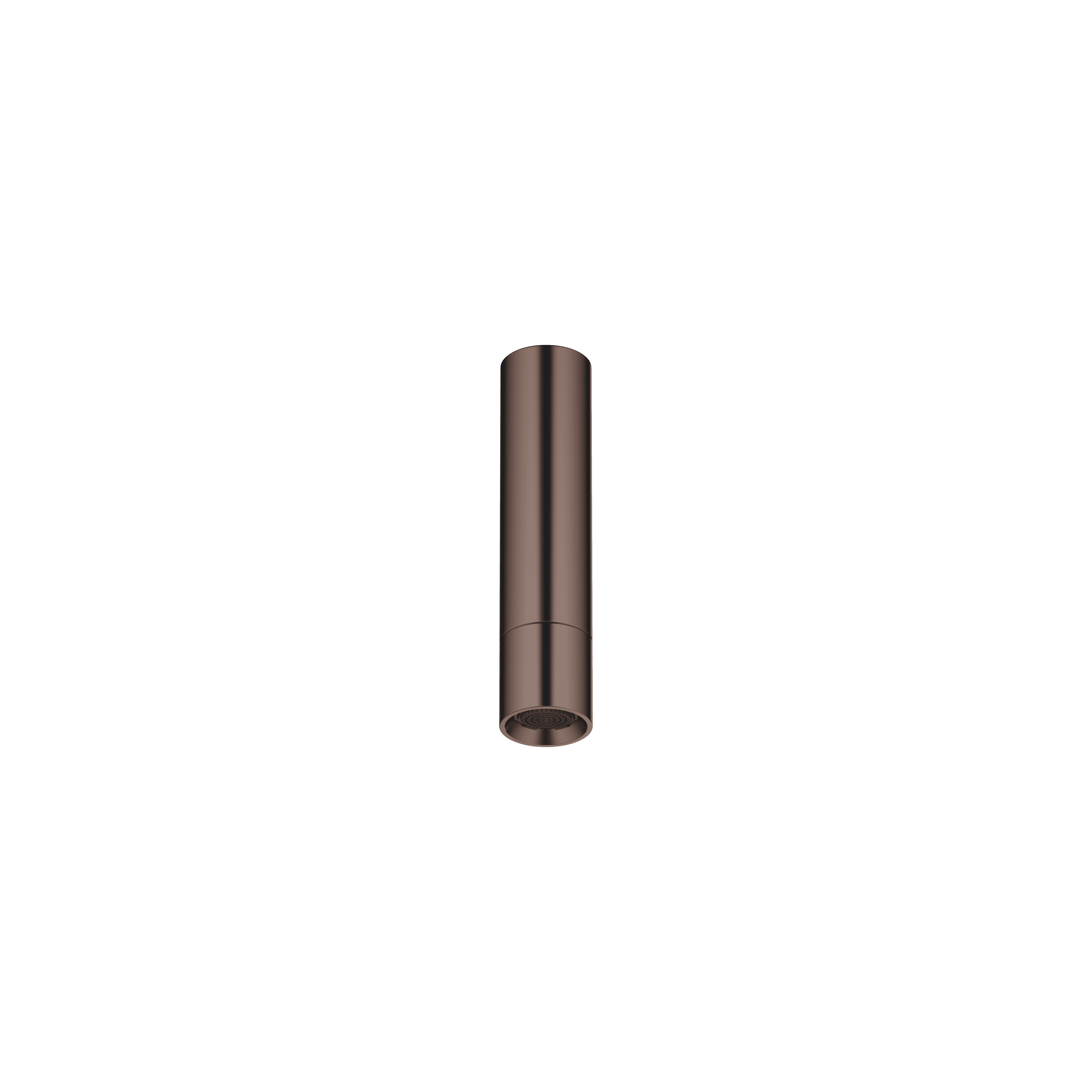 Shower head with ceiling fixing in Brushed Dark Bronze (PVD)