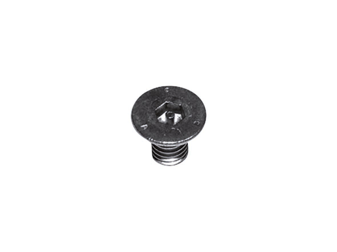 Dallmer Vandal resistant screws, 2 pieces, M 6 x 10, article 590220