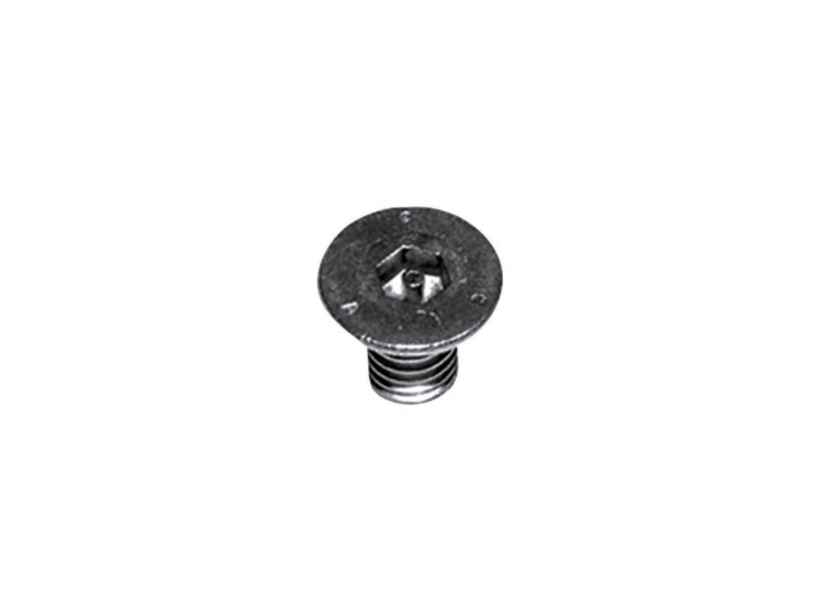 Dallmer Vandal resistant screws, 2 pieces, M 6 x 14, article 590237