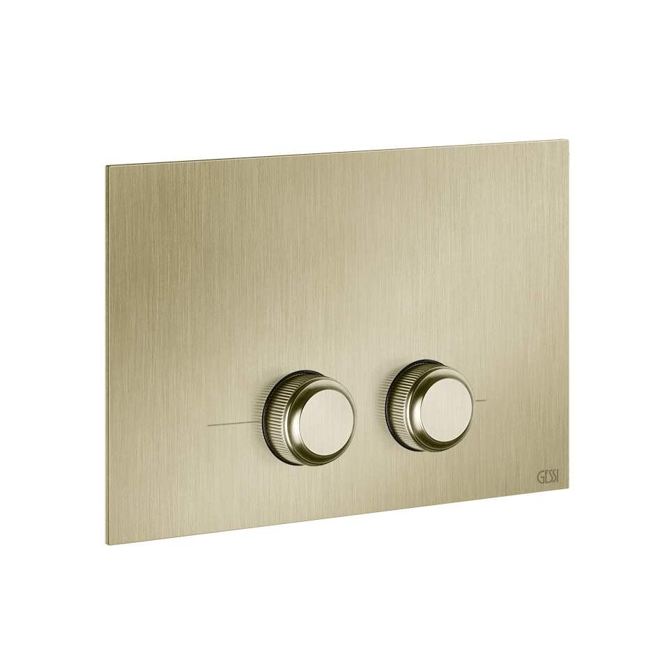Gessi Flush Plate 54651 in Brass Brushed Pvd