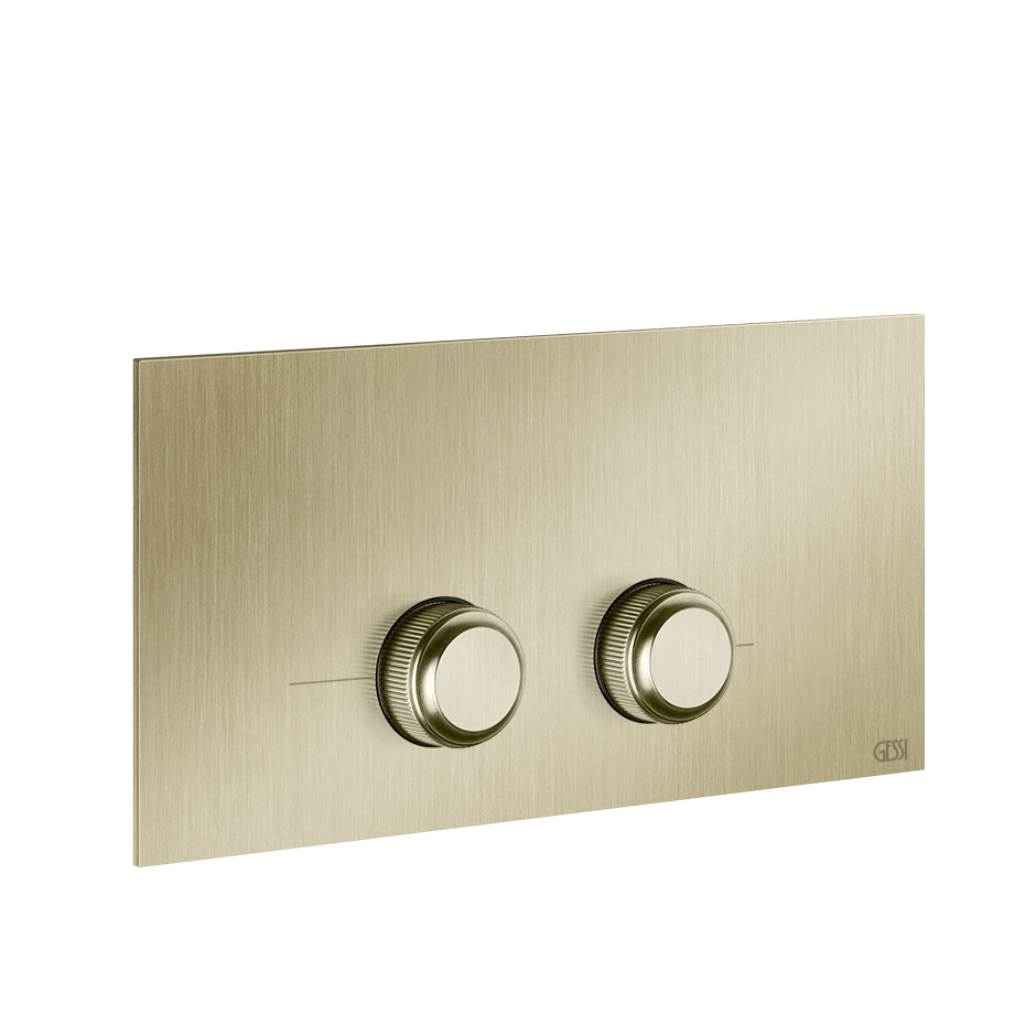 Gessi Flush Plate 54661 in Brass Brushed Pvd