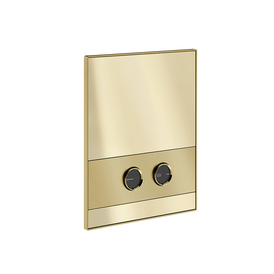 Gessi Flush Plate 56415 in Brass Brushed Pvd