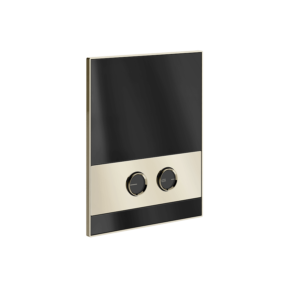 Gessi Flush Plate 56417 in Nickel Pvd