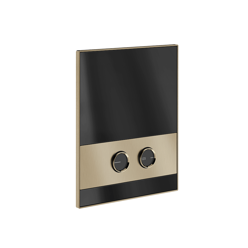 Gessi Flush Plate 56421 in Finox Brushed Nickel