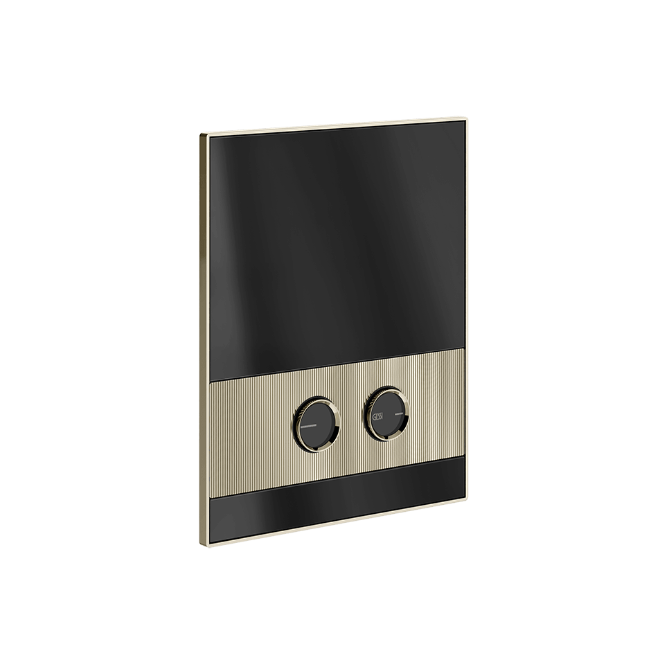 Gessi Flush Plate 56511 in Nickel Pvd