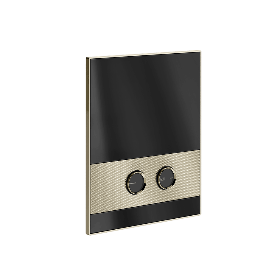 Gessi Flush Plate 56621 in Nickel Pvd