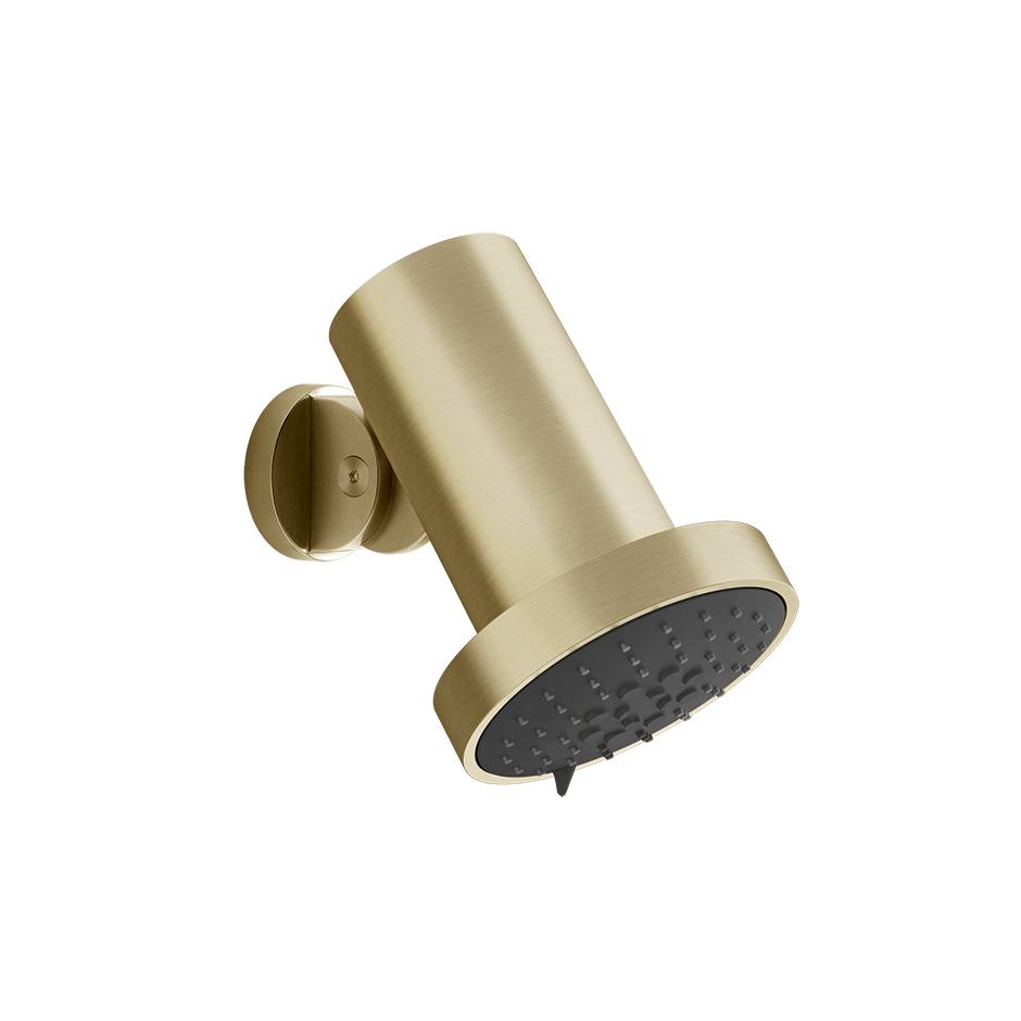 Gessi Showerhead 57249 in Brass Brushed Pvd