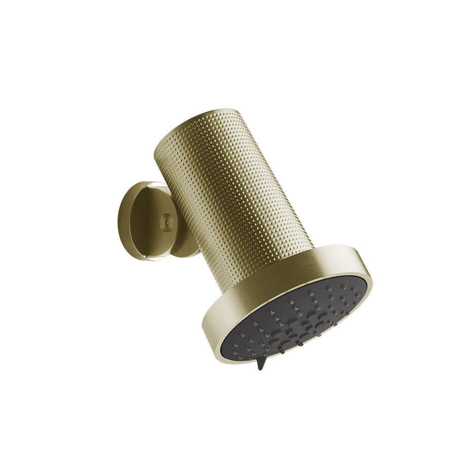 Gessi Showerhead 57255 in Brass Brushed Pvd