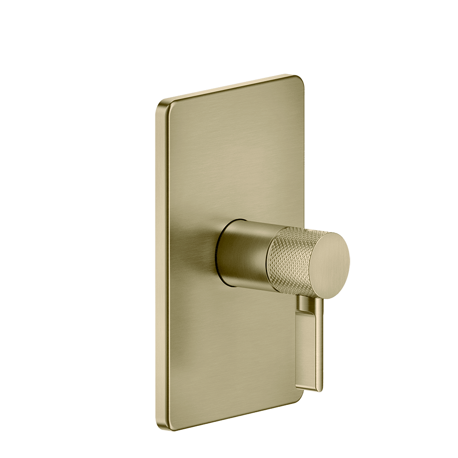 Gessi Shower Mixer 58061 in Brass Brushed Pvd