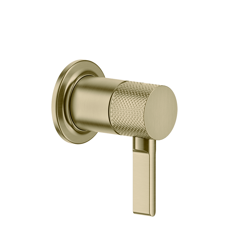 Gessi Separate Control 58109 in Brass Brushed Pvd