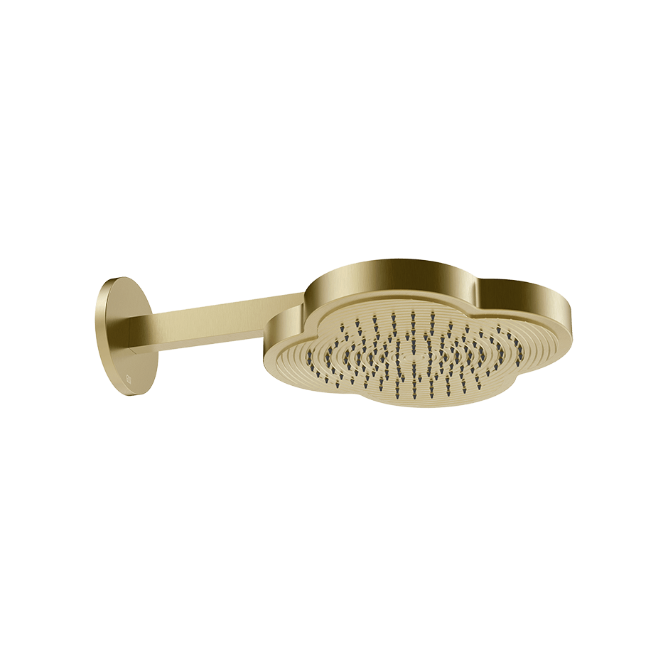 Gessi Showerhead 76149 in Brass Brushed Pvd