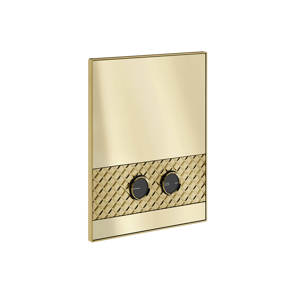 Gessi Flush Plate 78817 in Brass Brushed Pvd