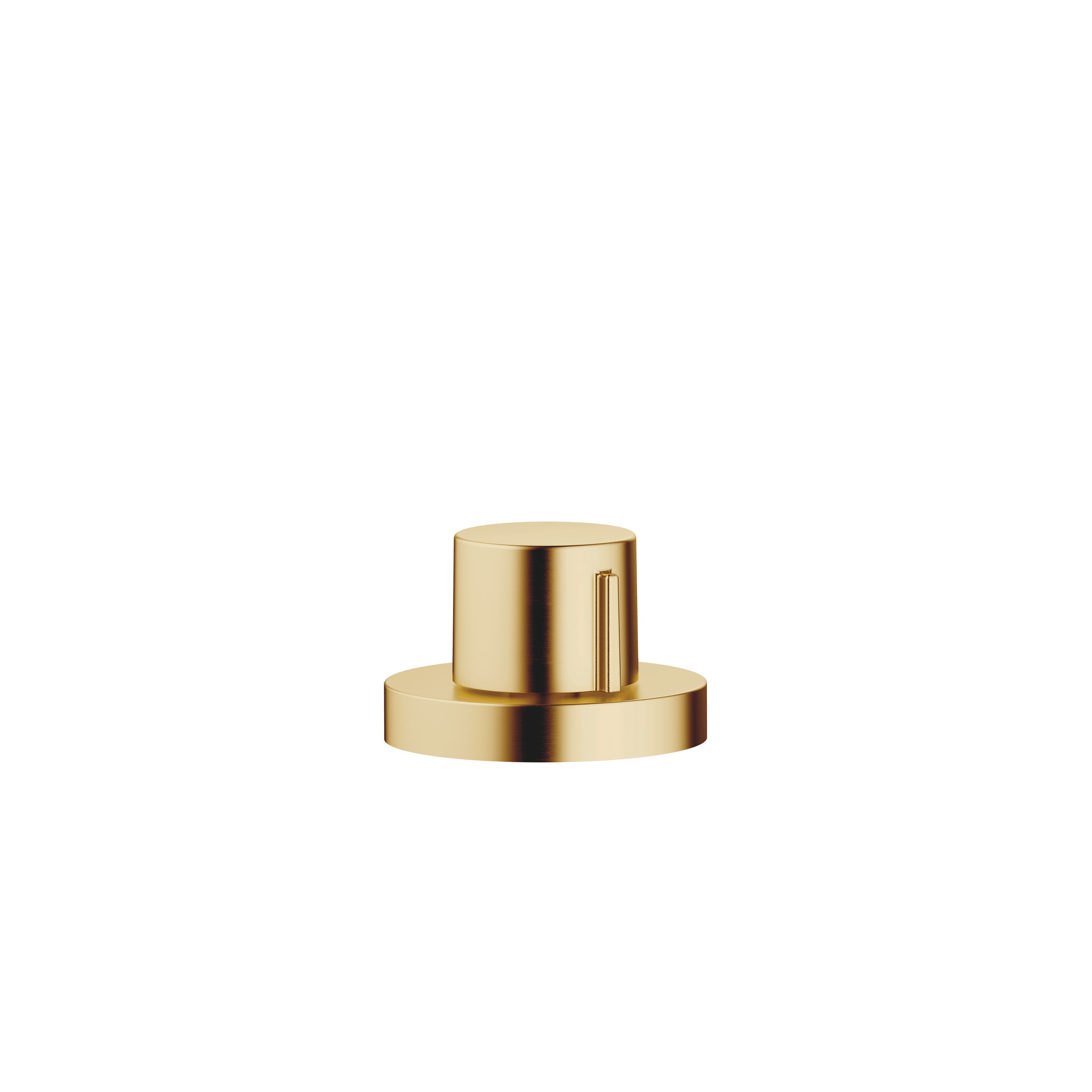 Strainer waste with control handle in Brushed Durabrass (23kt Gold)