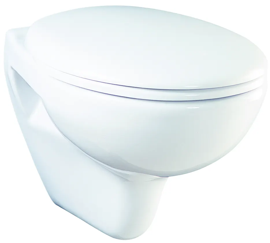 Wall Hung Toilet ( Back Inlet ) ( P-trap ) 220mm CW620NJ#W