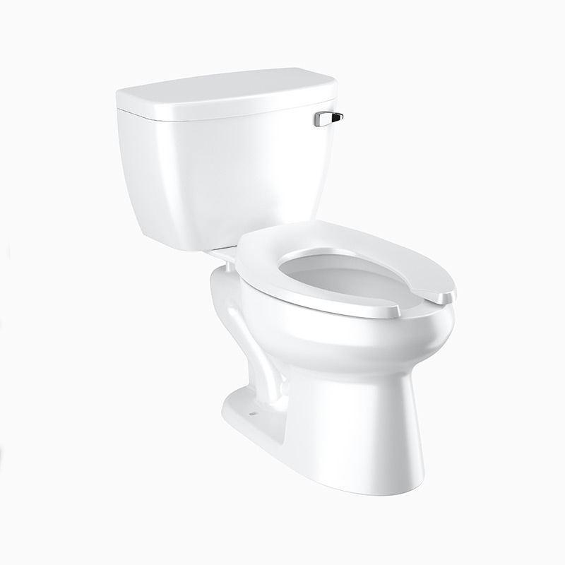 Sloan WETS-8009.8110 87098110