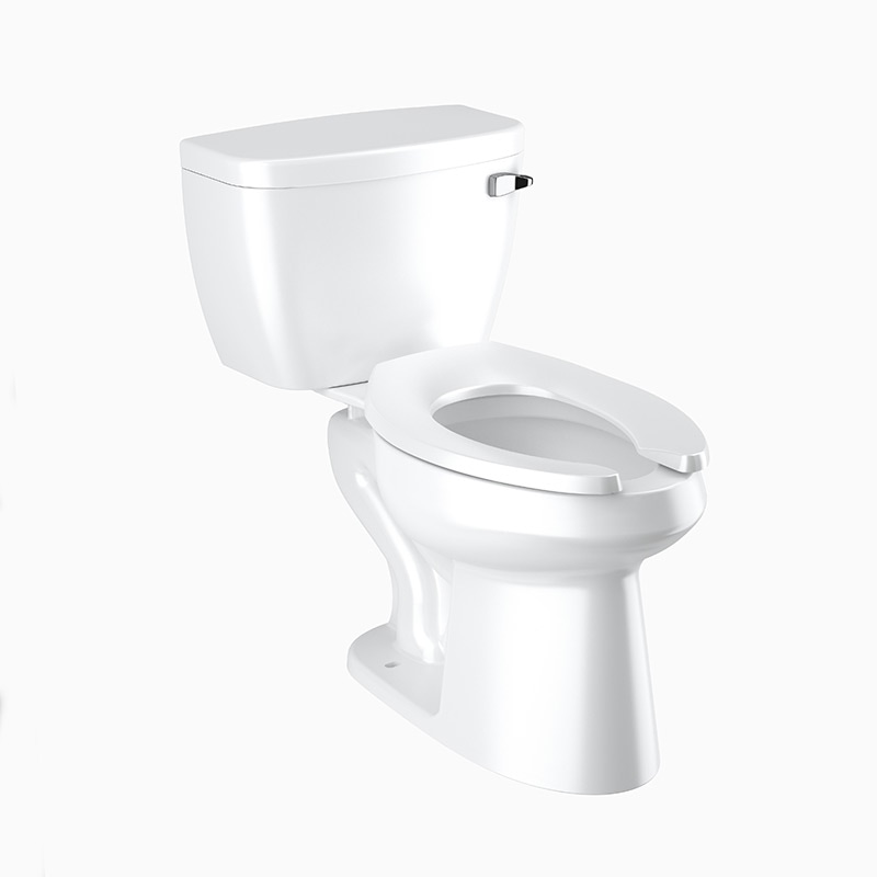 Sloan WETS-8029.8118 87298118
