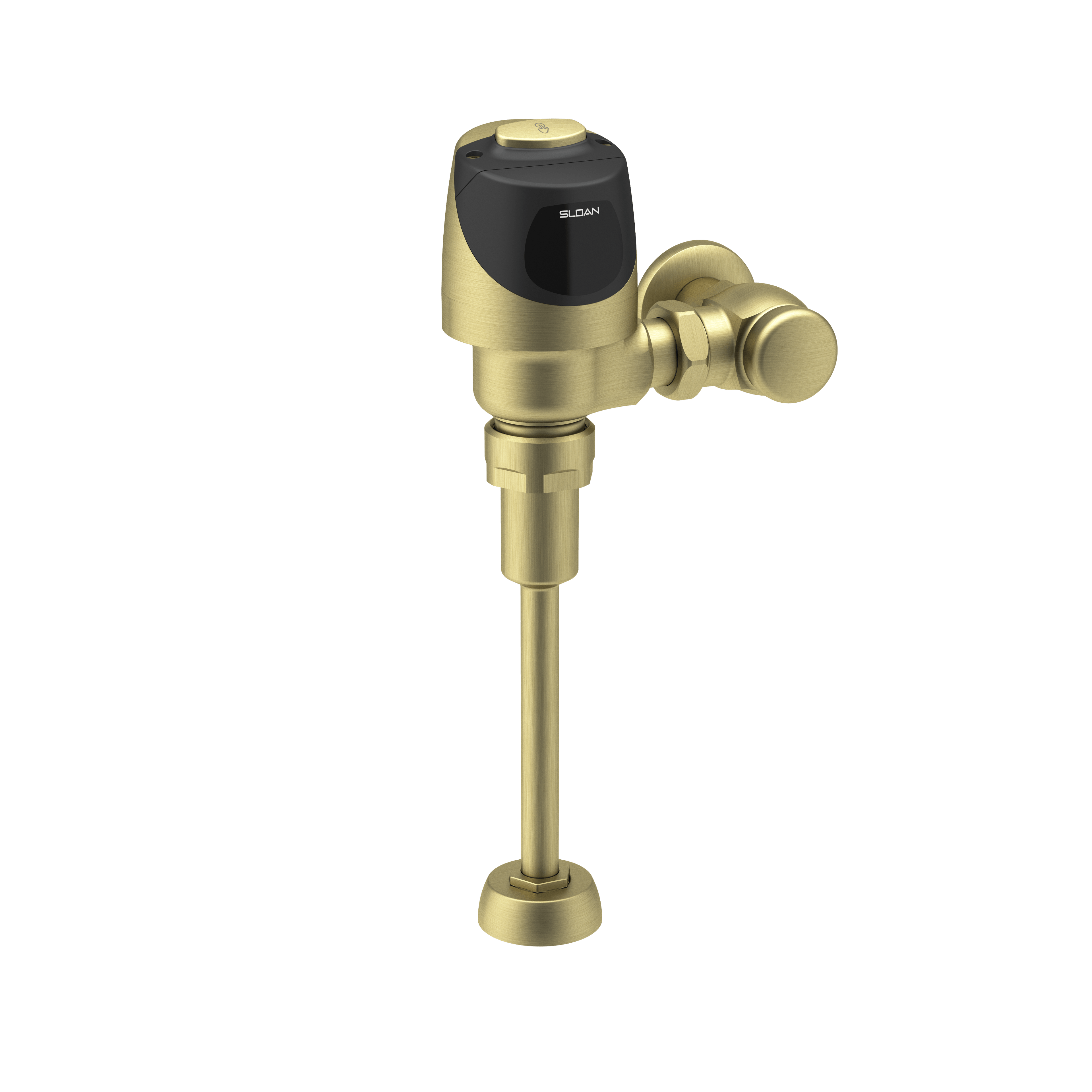 Sloan ECOS 8186, product code 33704051