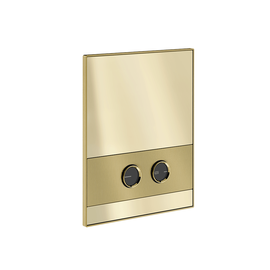 Gessi Flush Plate 56517 in Brass Brushed Pvd