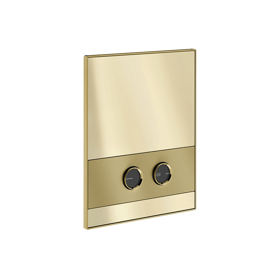 Gessi Flush Plate 56617 in Brass Brushed Pvd