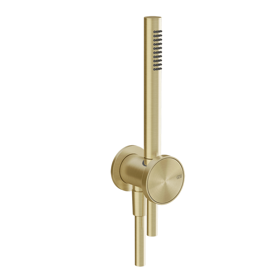 Gessi Shower Set 66123 in Brass Brushed Pvd