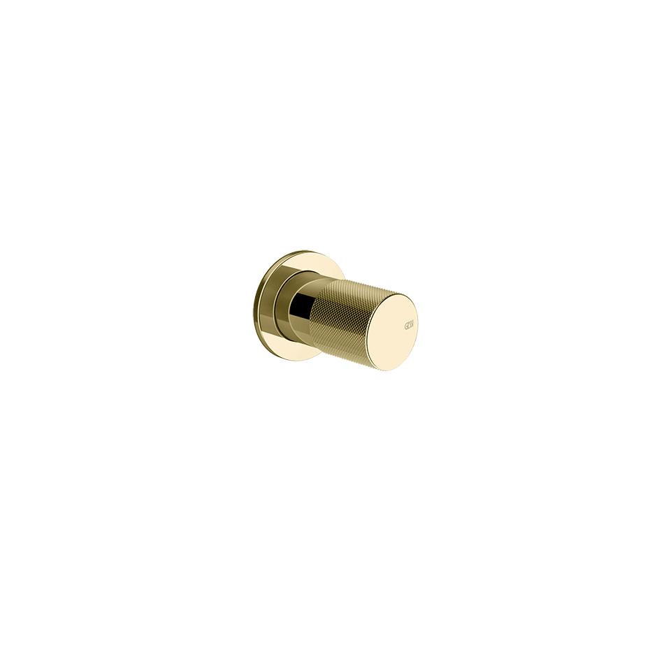 Gessi Separate Control 70699 in Brass Pvd