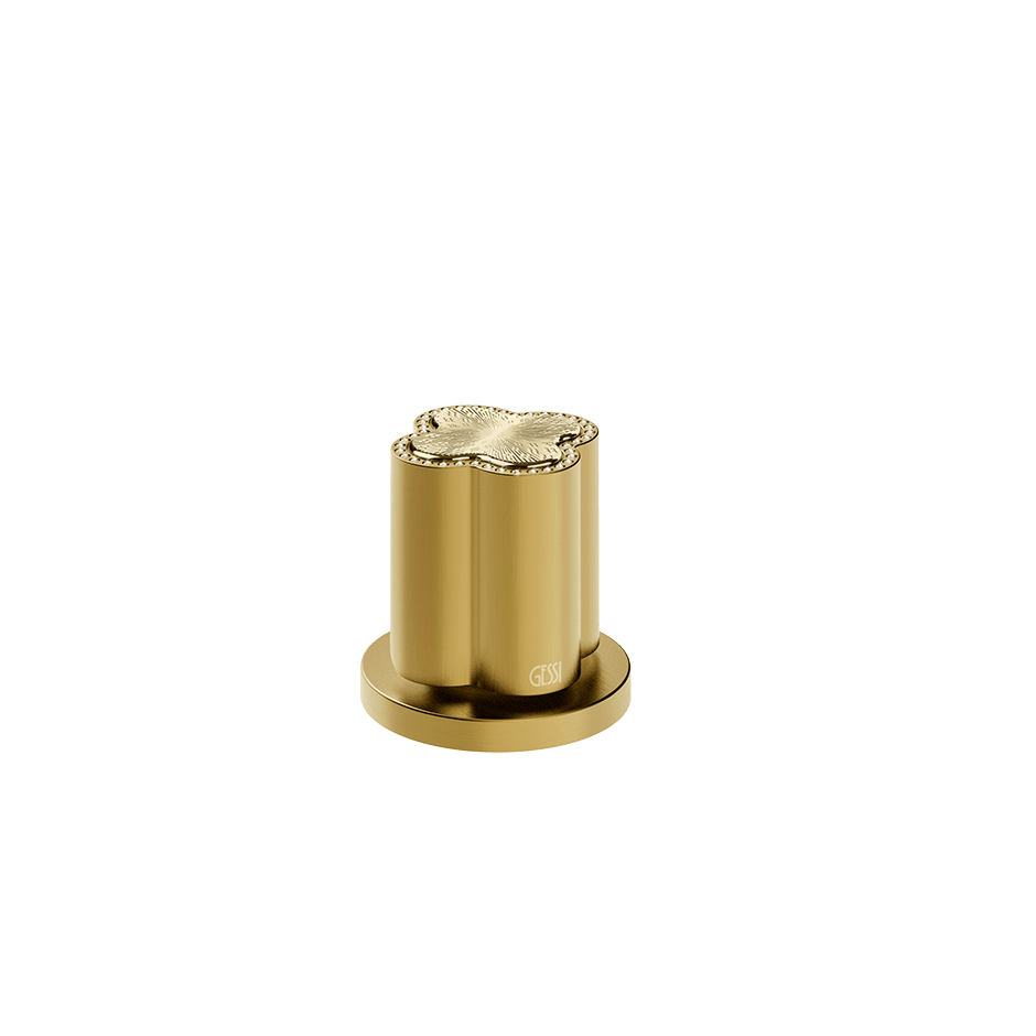 Gessi Separate Control 76300 in Gold Brushed Pvd