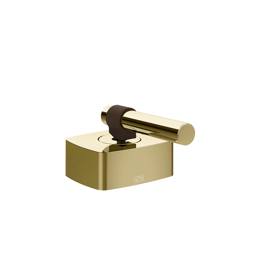 Gessi Separate Control 77035 in Brass Pvd