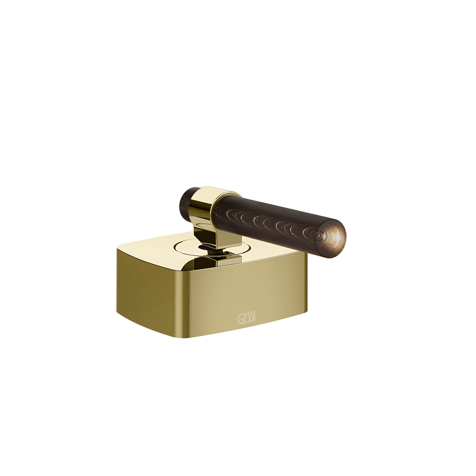 Gessi Separate Control 77235 in Brass Pvd