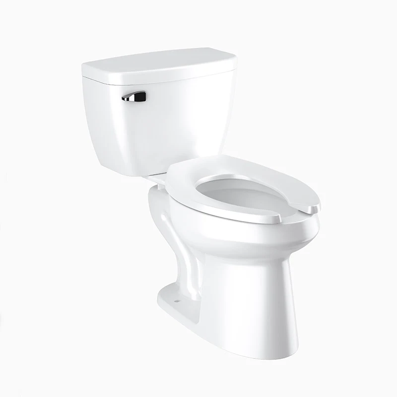 Sloan WETS-8029.8013 WETS-8029.8013